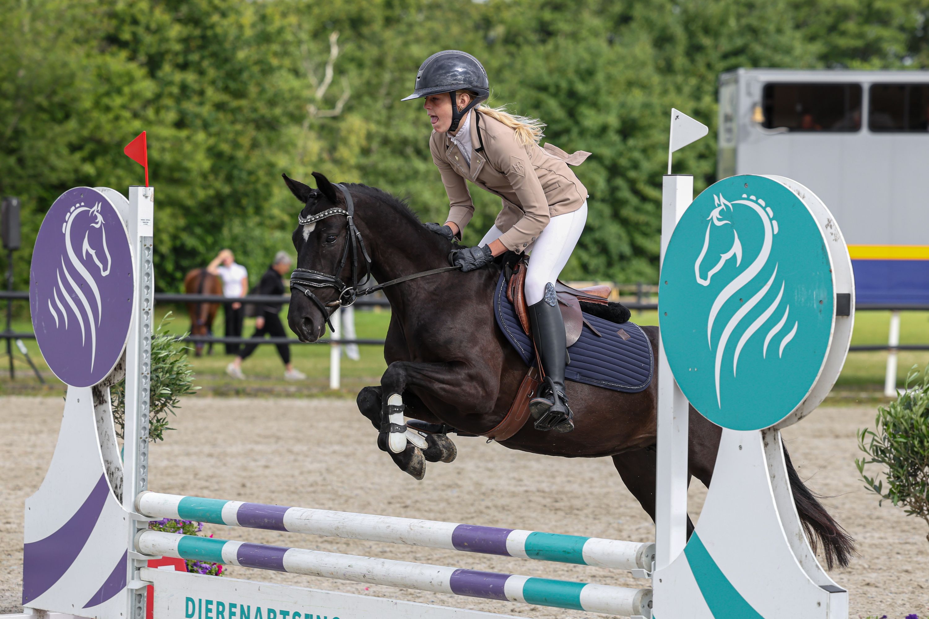 new-forest allround-pony merrie 4 anos zwart à venda - Foto 2