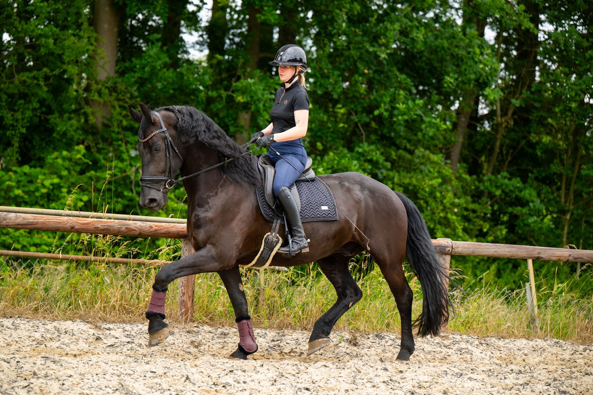 Stunning 8-year-old Friesian with a sweet character