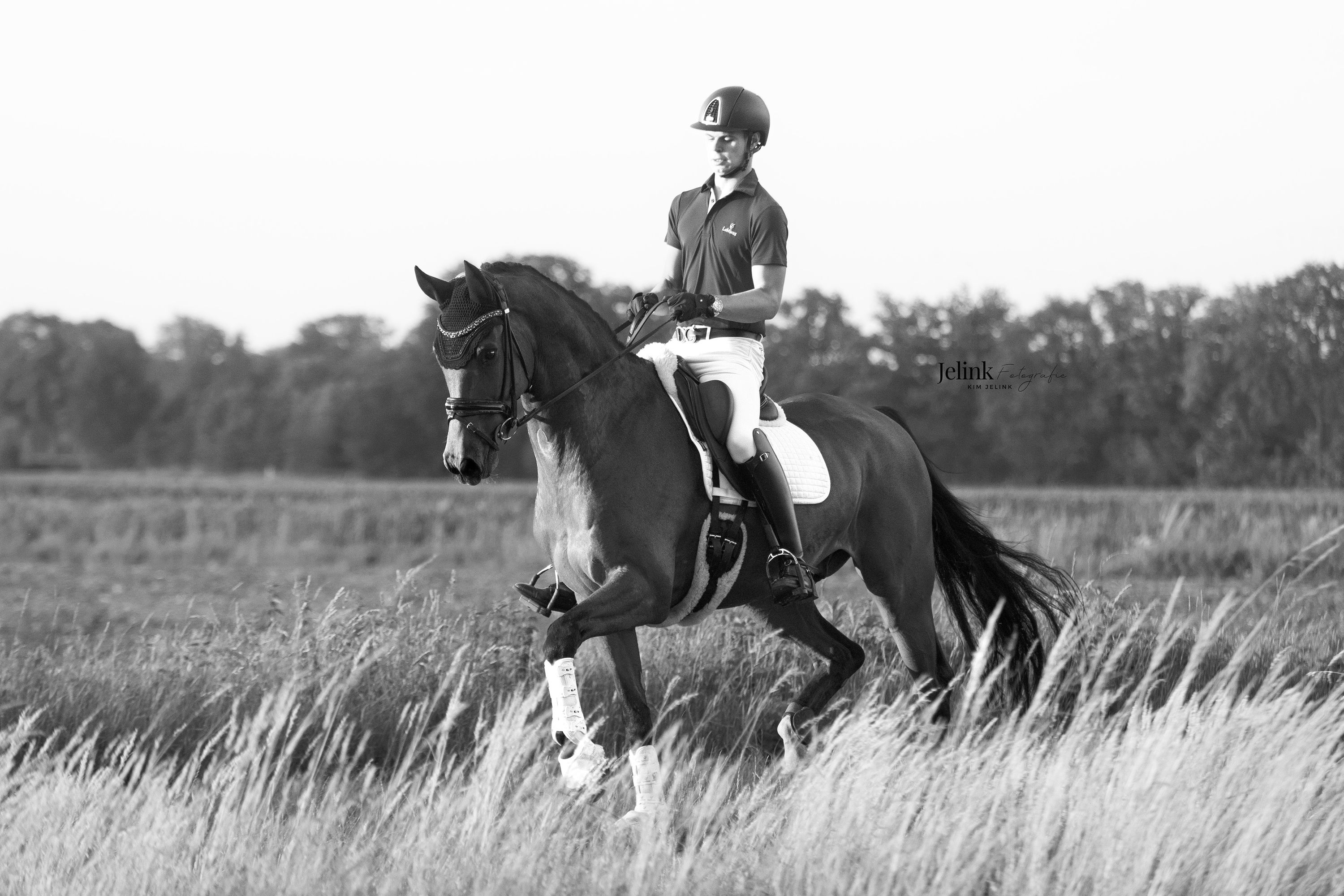 Toller Hitmaker x Rousseau Wallach 🤎