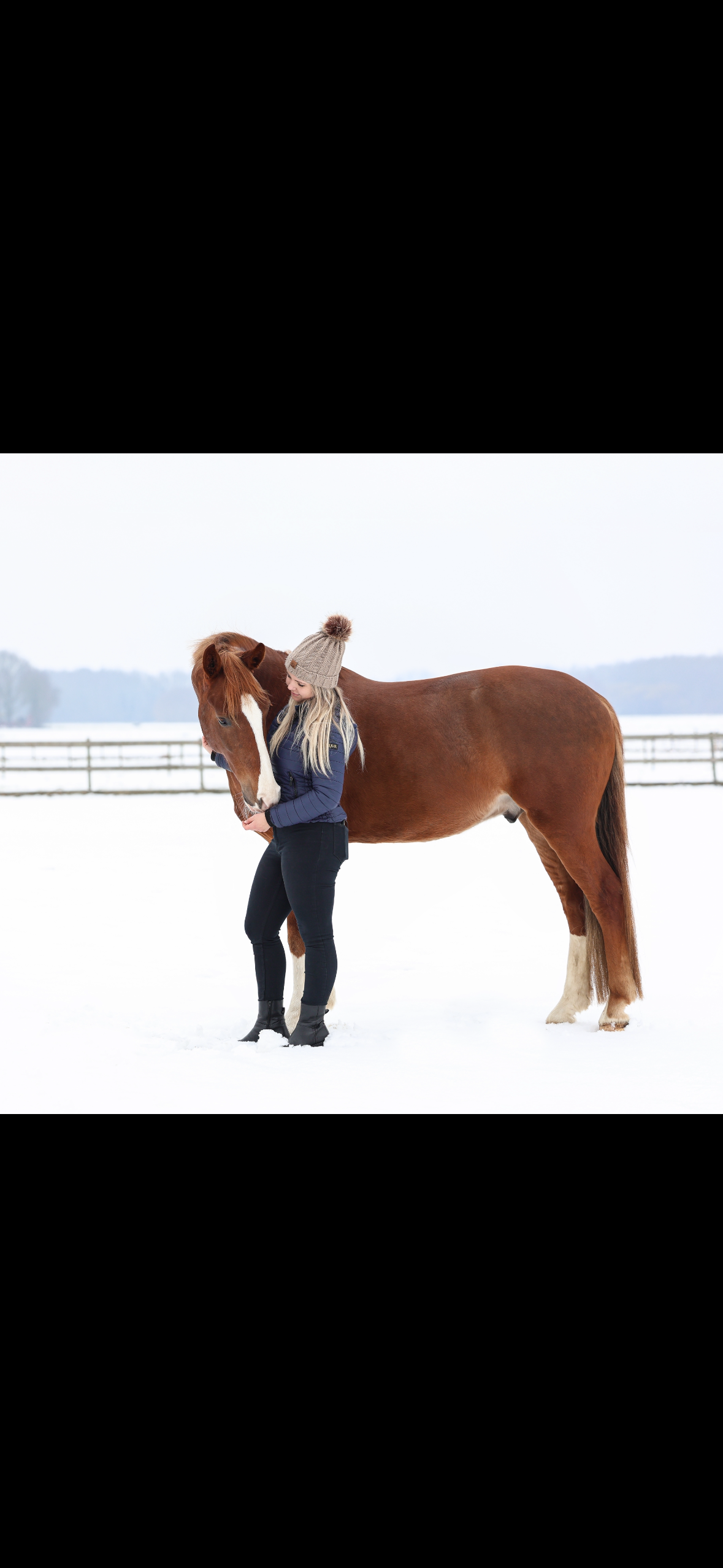 kwpn dressuurpaard ruin 5 years old vos for sale - Photo 5