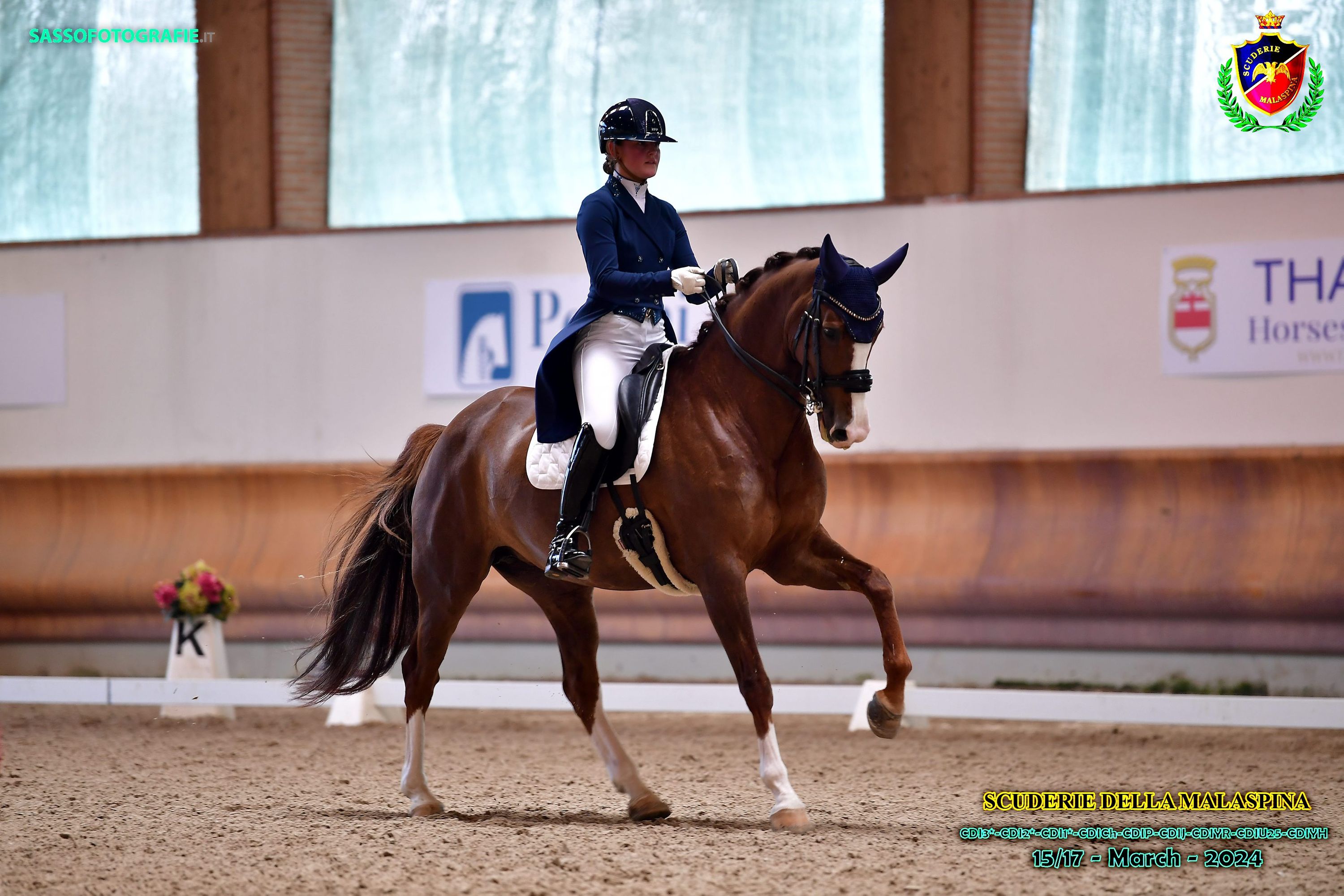 kwpn dressuurpaard merrie 12 years old vos for sale - Photo 3
