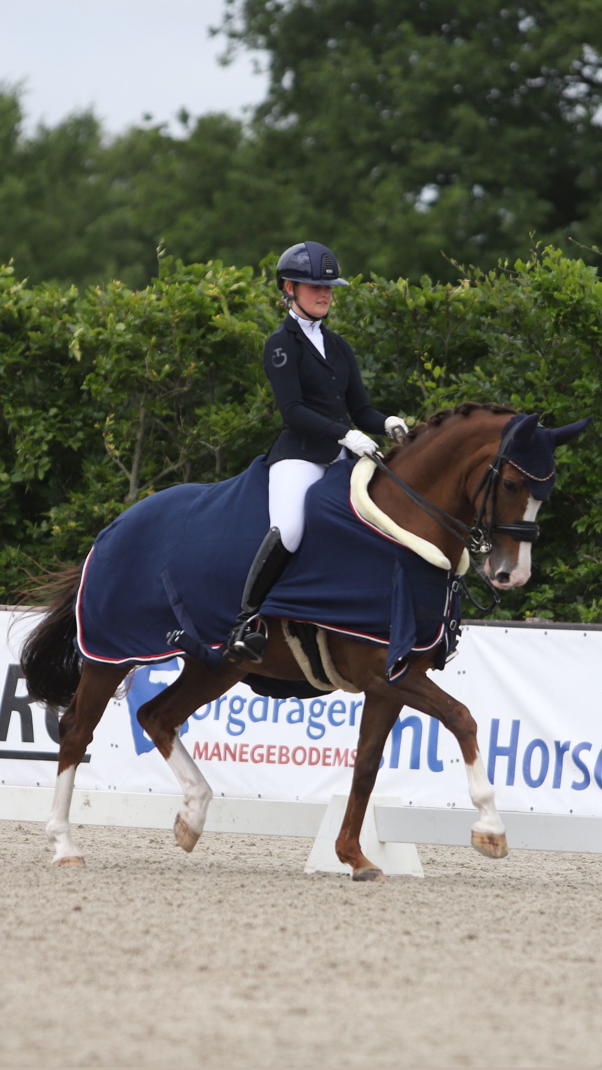 kwpn dressuurpaard merrie 12 years old vos for sale - Photo 6
