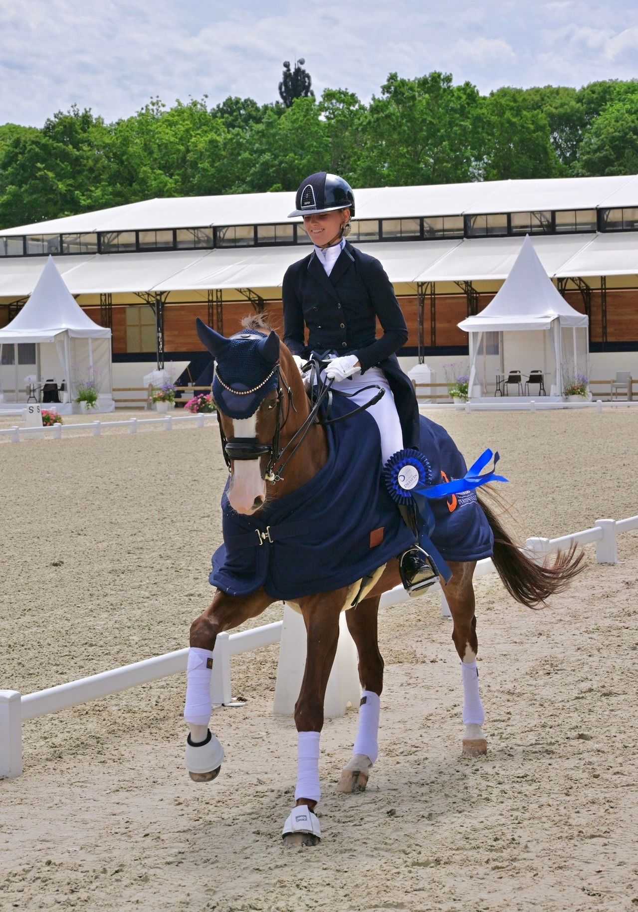 kwpn dressuurpaard merrie 12 years old vos for sale - Photo 5