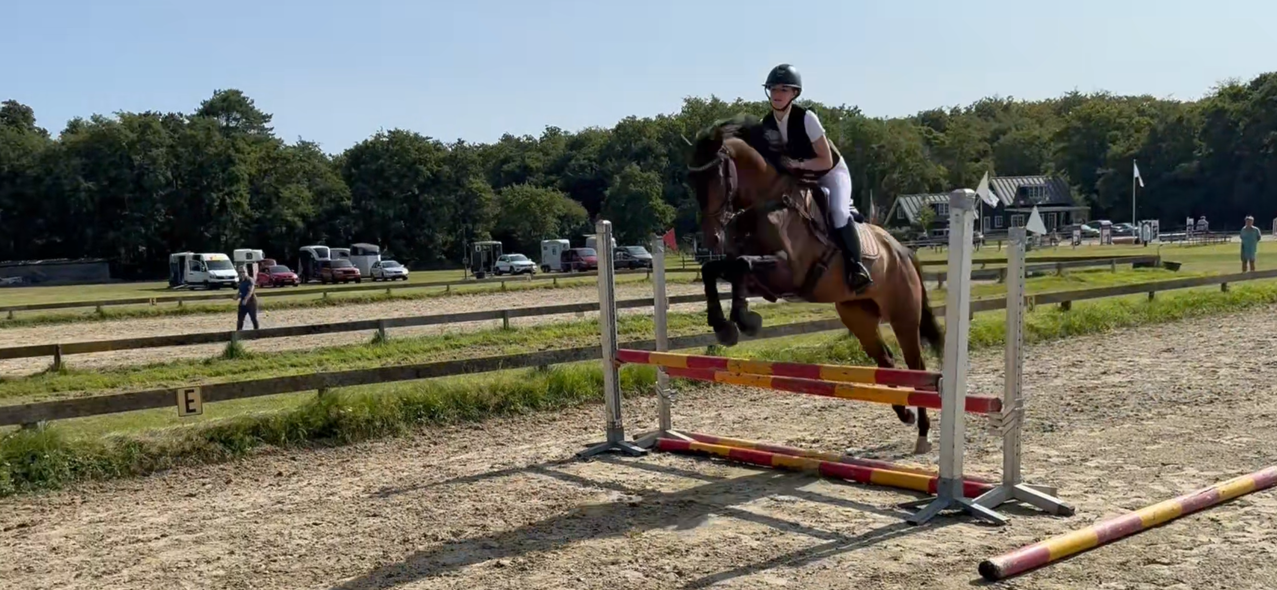 kwpn dressuurpaard merrie 6 years old bruin for sale - Photo 3
