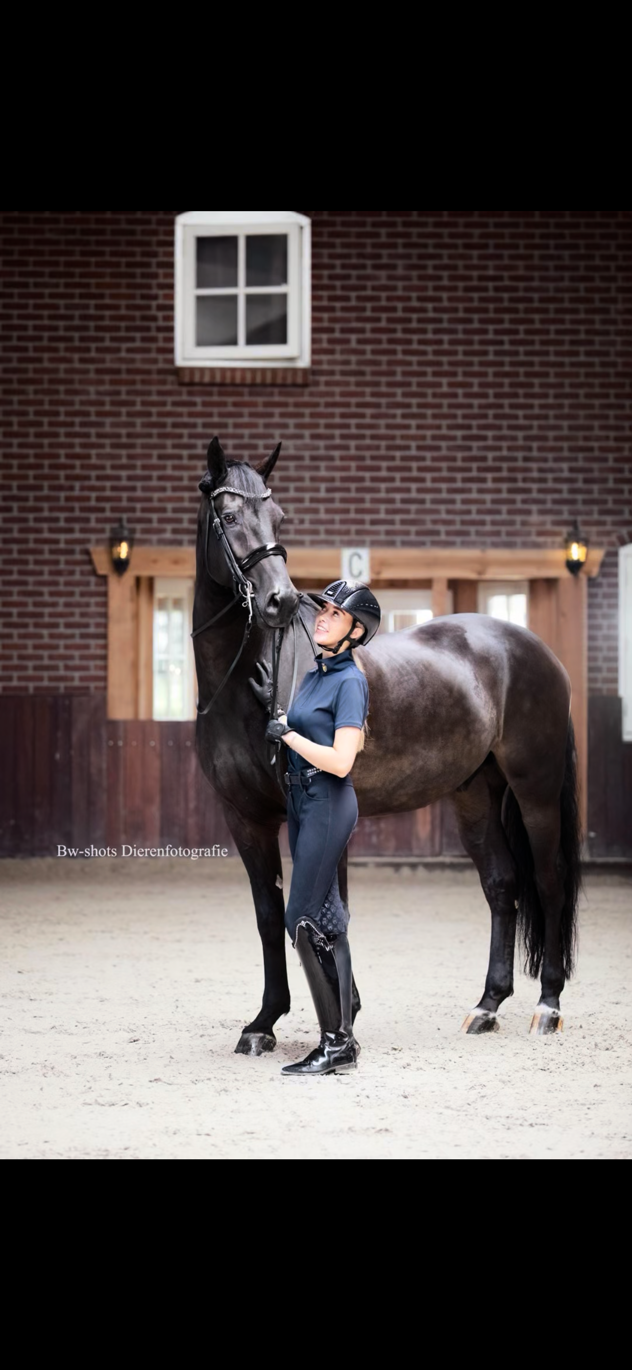 kwpn dressuurpaard ruin 10 years old zwart for sale - Main photo