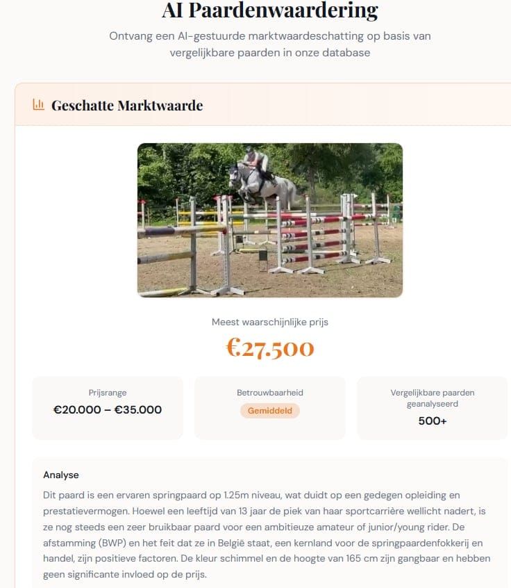 holstein springpaard merrie 13 år schimmel till salu - Foto 2