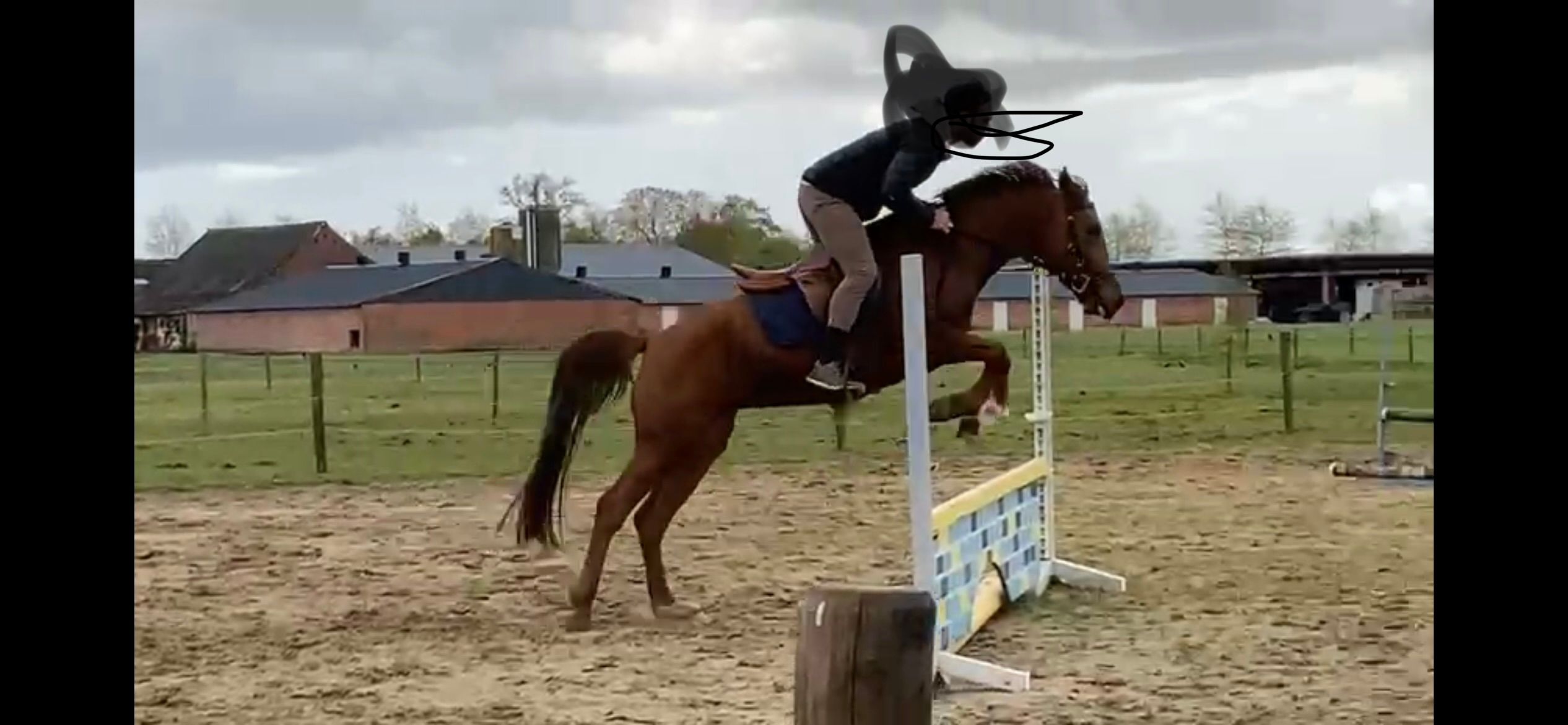 ander allround-pony merrie 6 years old vos for sale - Photo 3