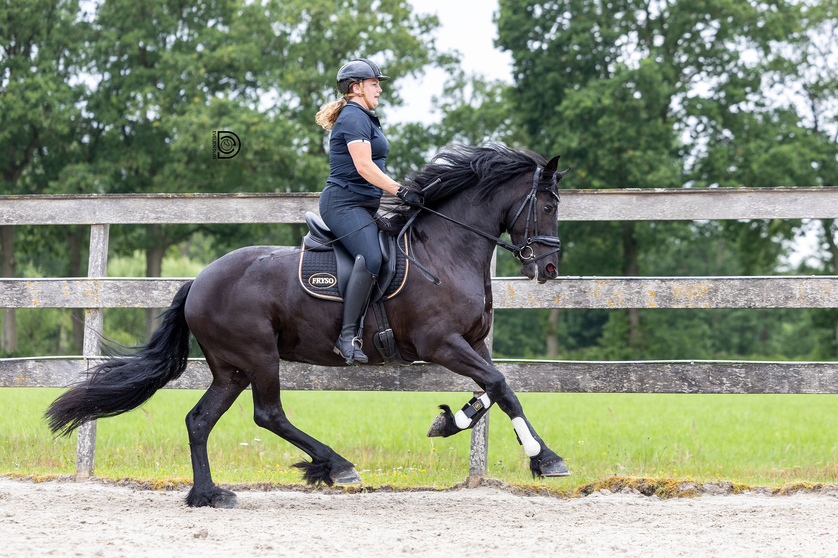 fries merrie 4 ans zwart à vendre - Photo 4