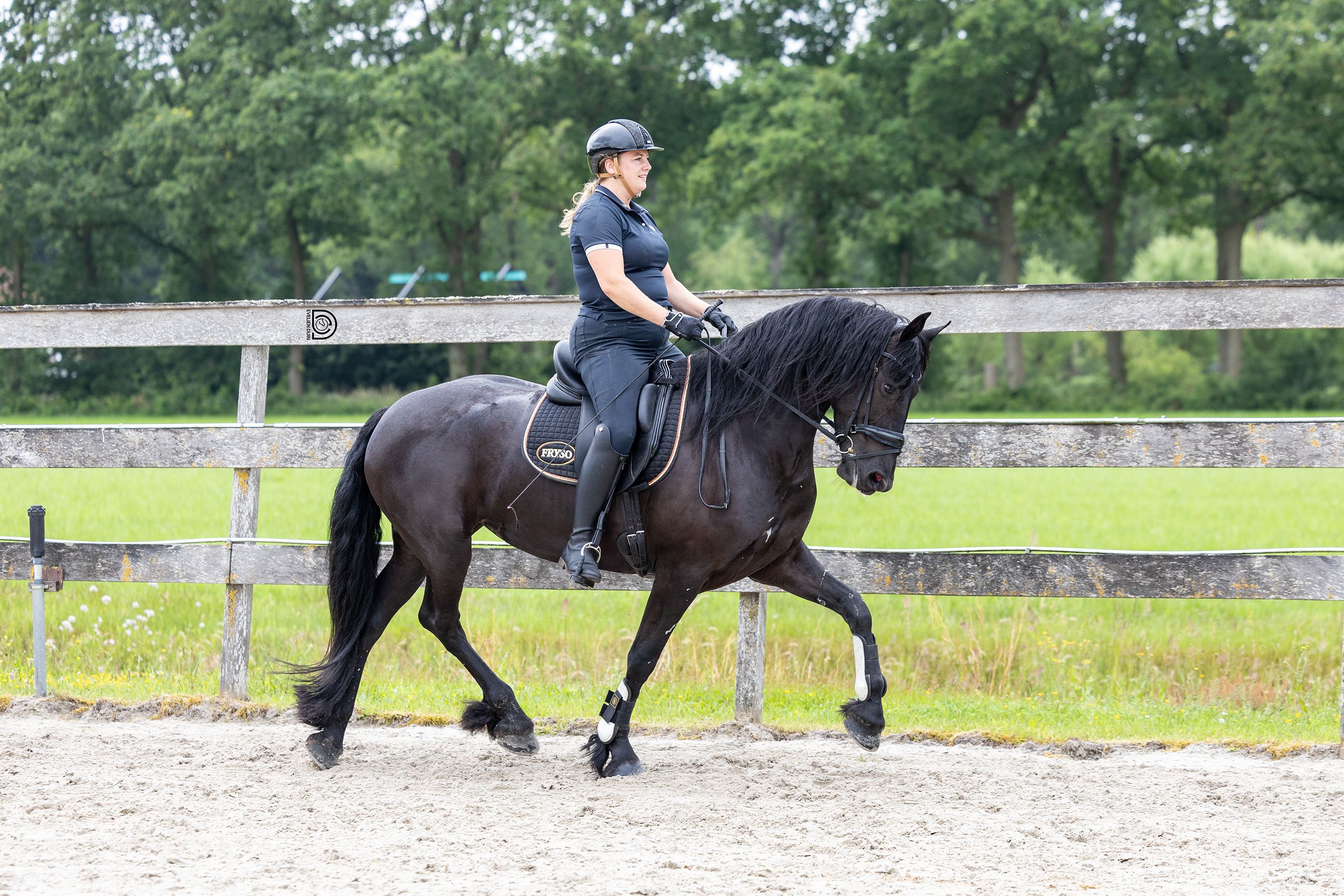 fries merrie 4 ans zwart à vendre - Photo 6