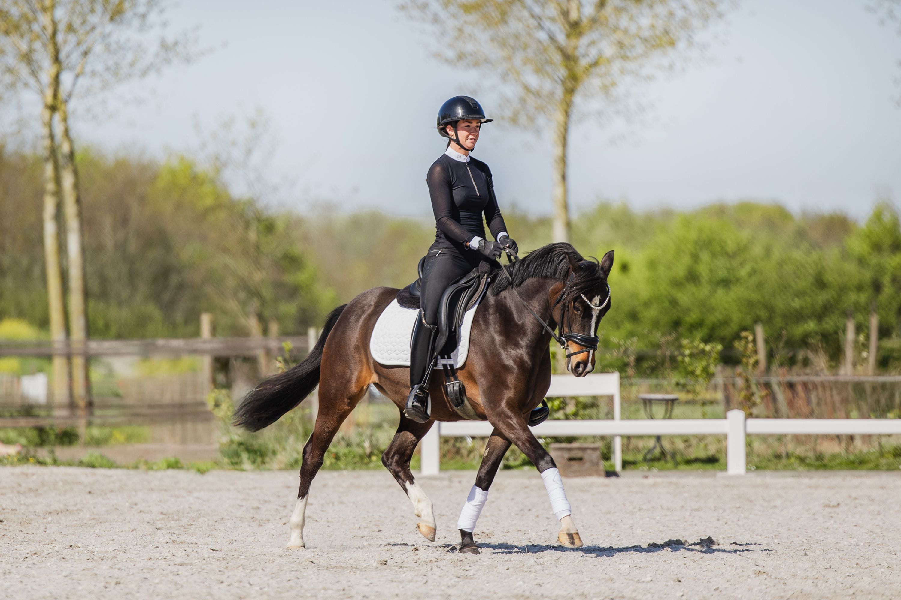 welsh dressuurpony merrie 5 jaar bruin te koop - Foto 6