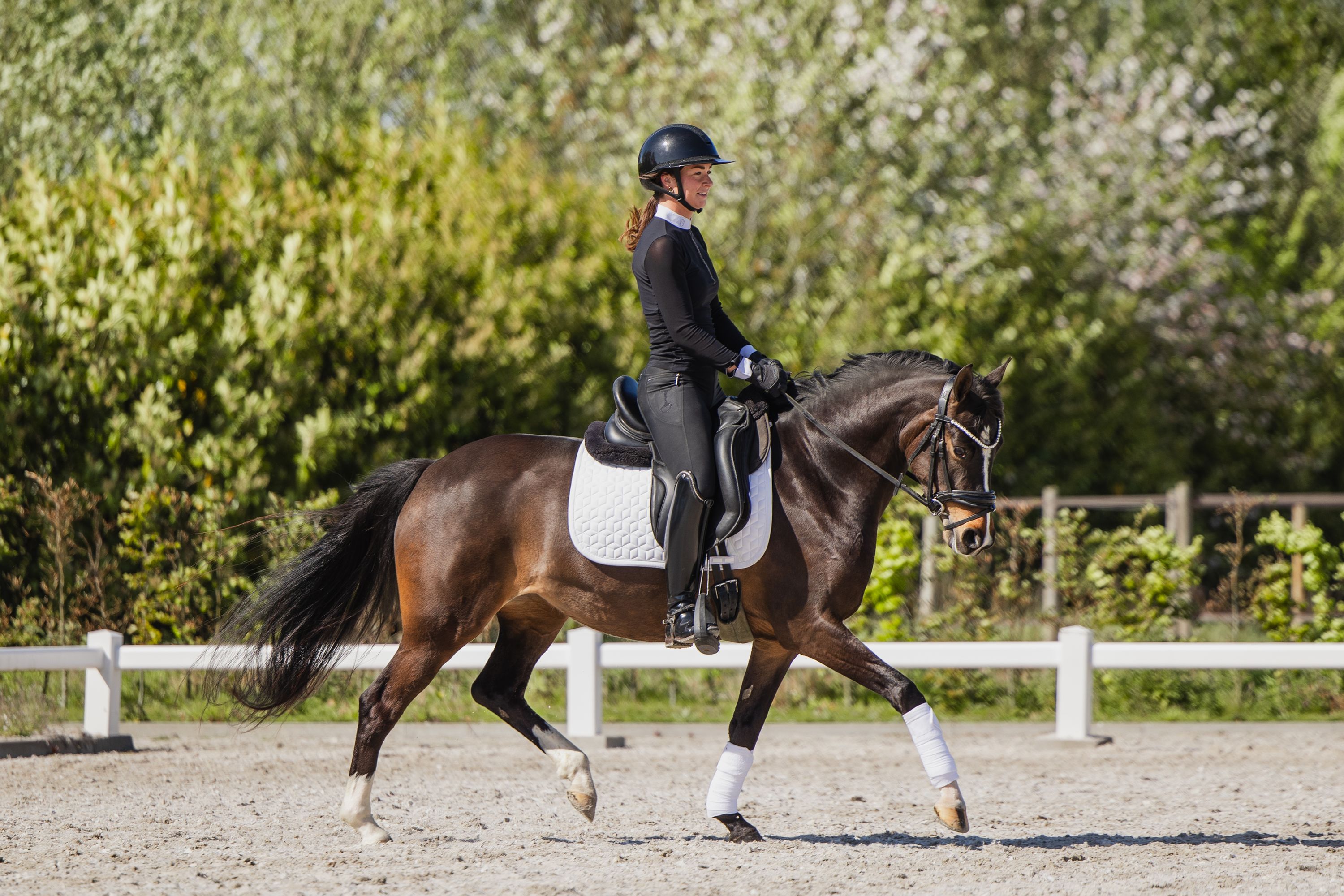 welsh dressuurpony merrie 5 jaar bruin te koop - Foto 5