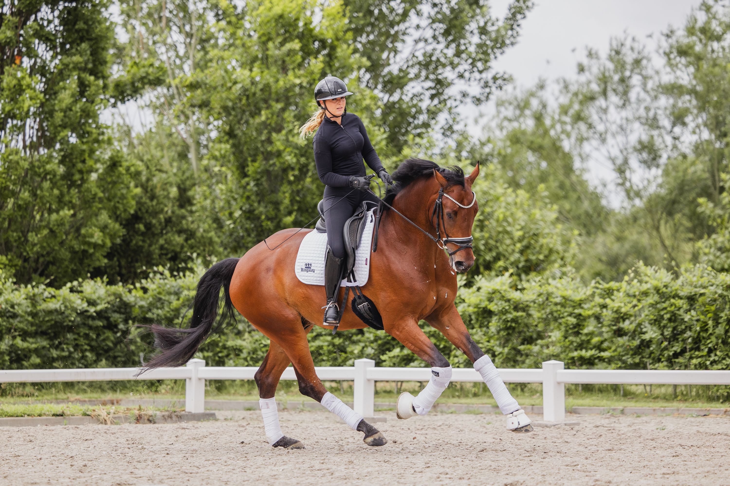 zangersheide dressuurpaard ruin 5 ans bruin à vendre - Photo 5