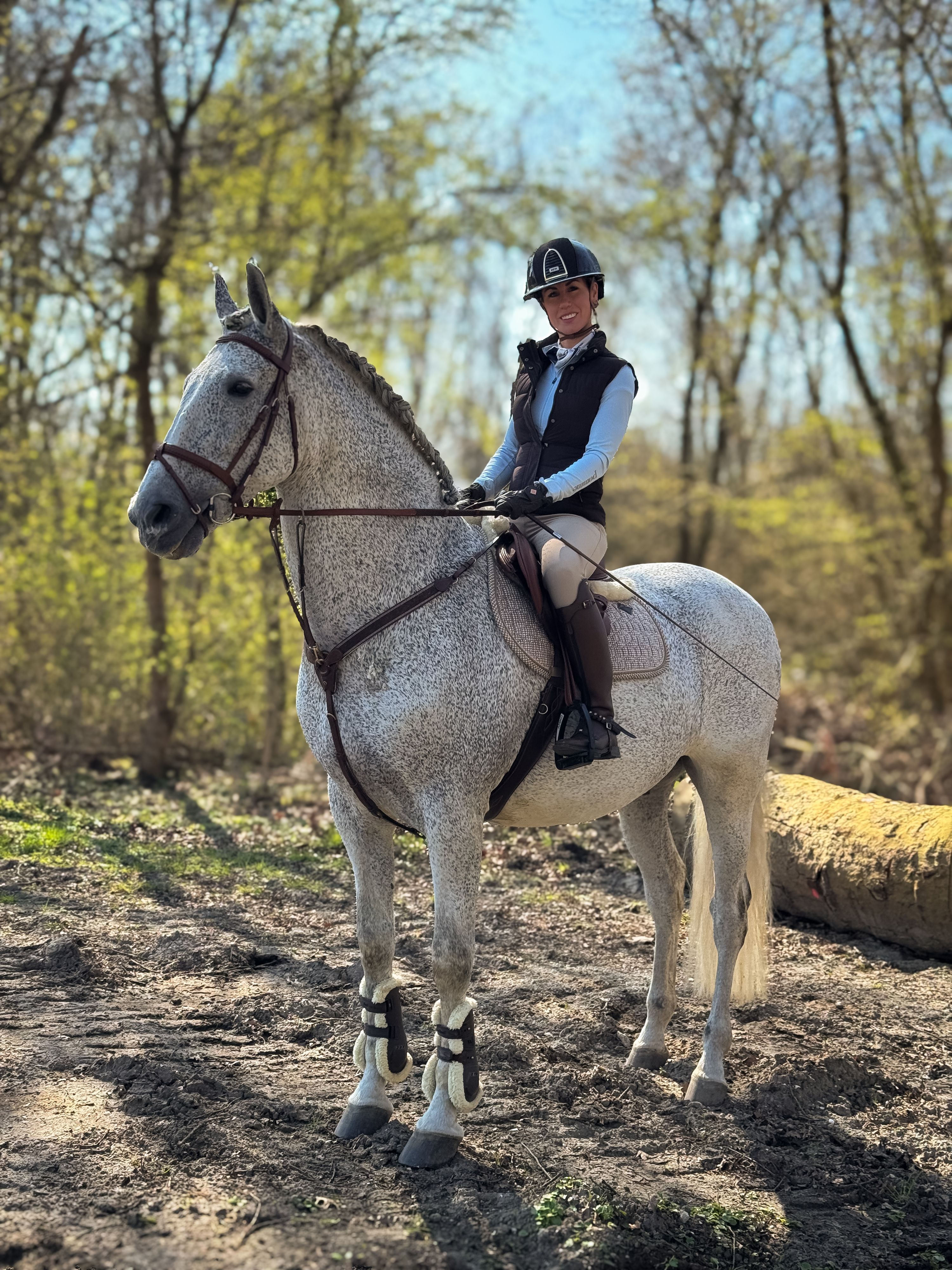 pre allrounder ruin 13 years old schimmel for sale - Photo 6