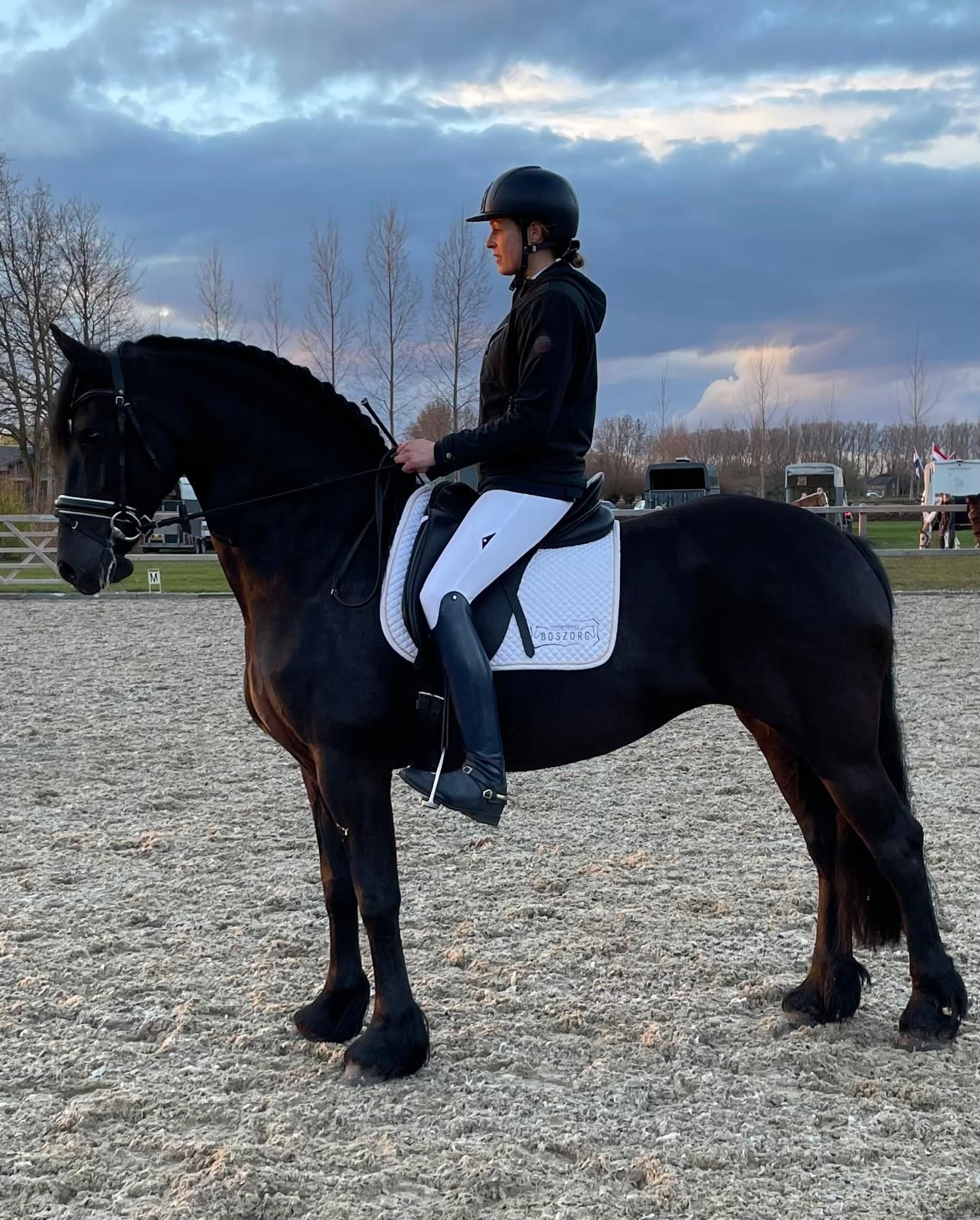 dressuurpaard merrie 12 ans zwart à vendre - Photo 3