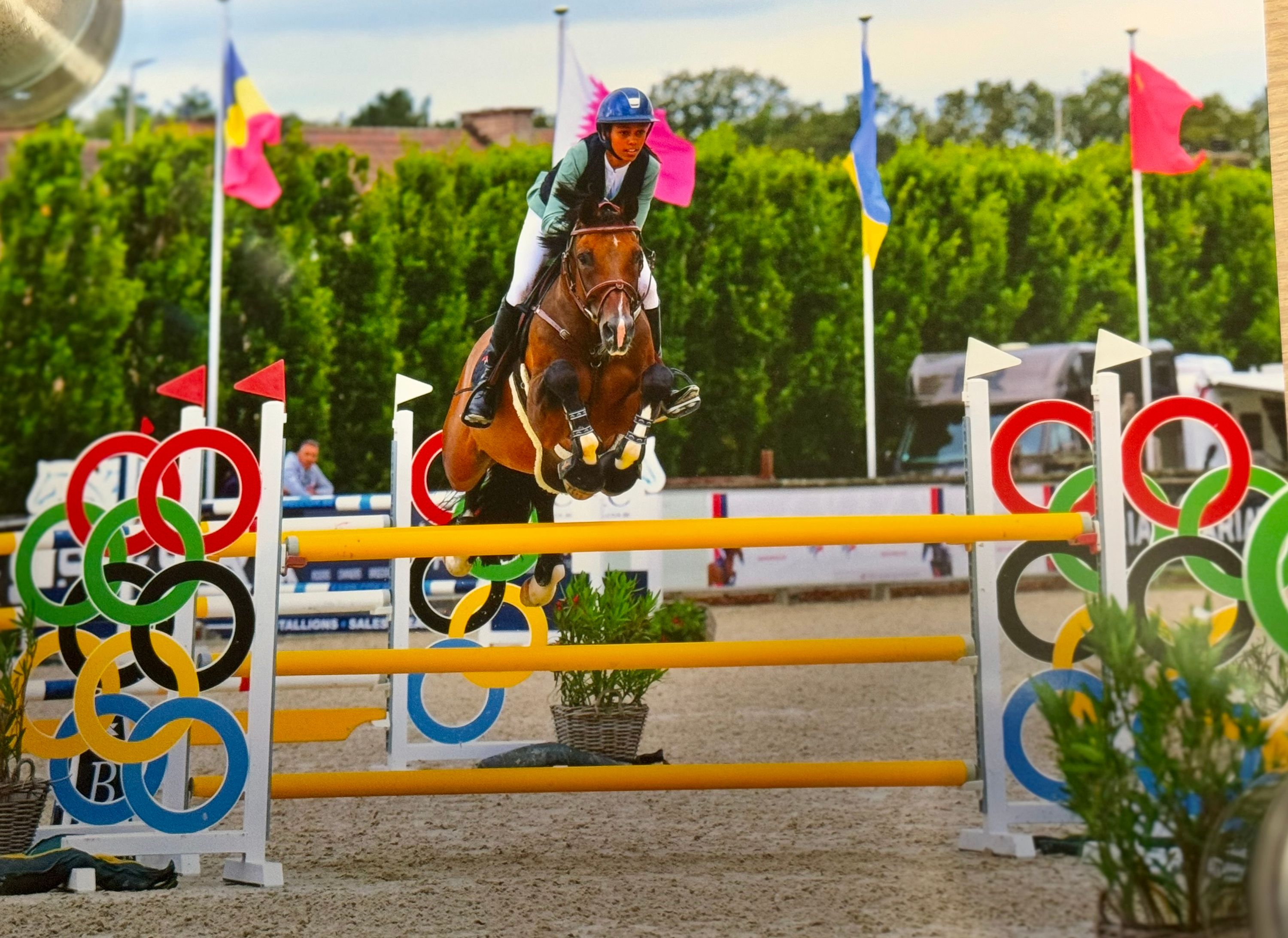 ⭐ For Sale: Lakkato – Reliable Schoolmaster for the Ambitious Show Jumper