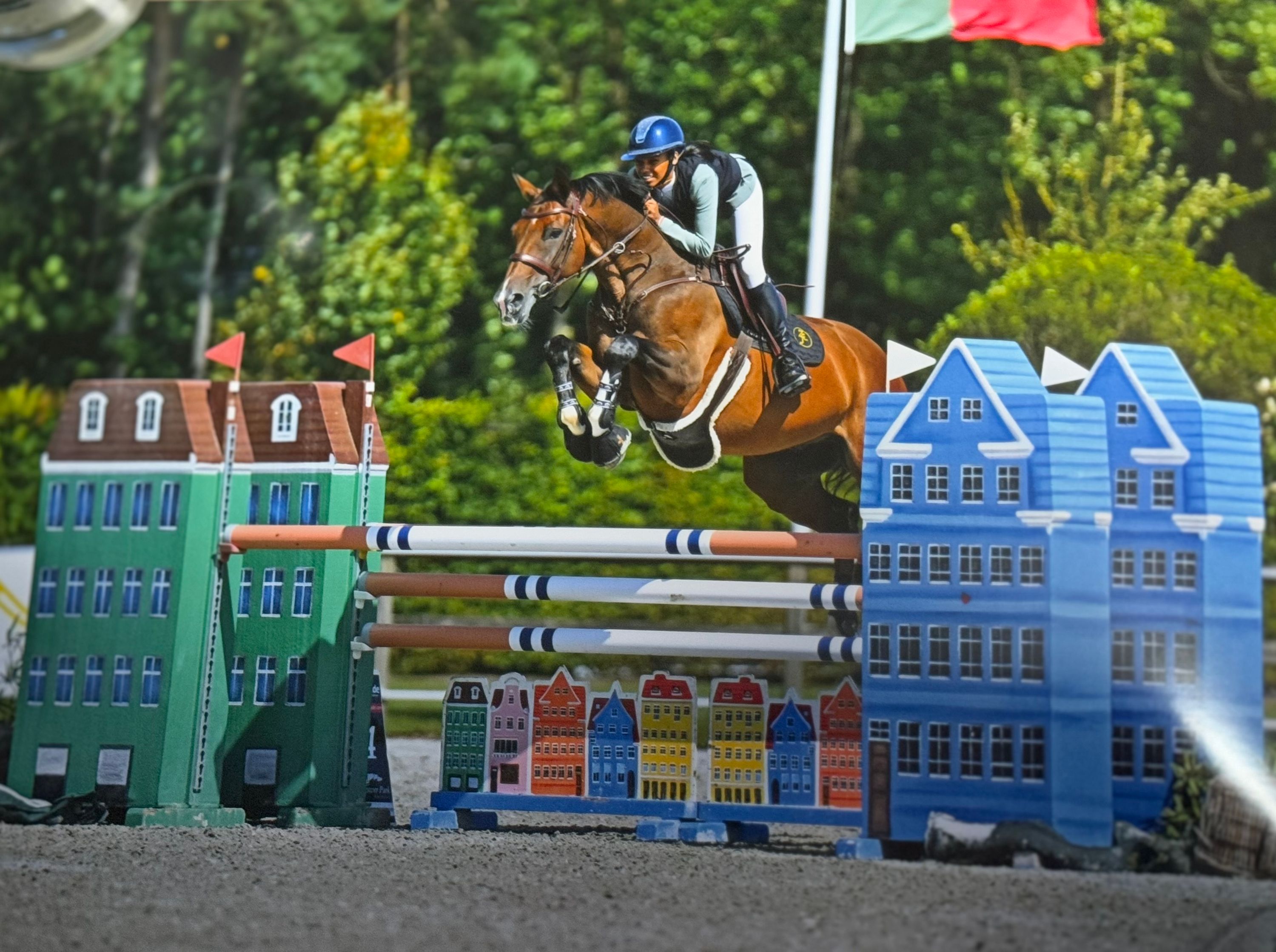 bwp springpaard ruin 15 år bruin till salu - Foto 2