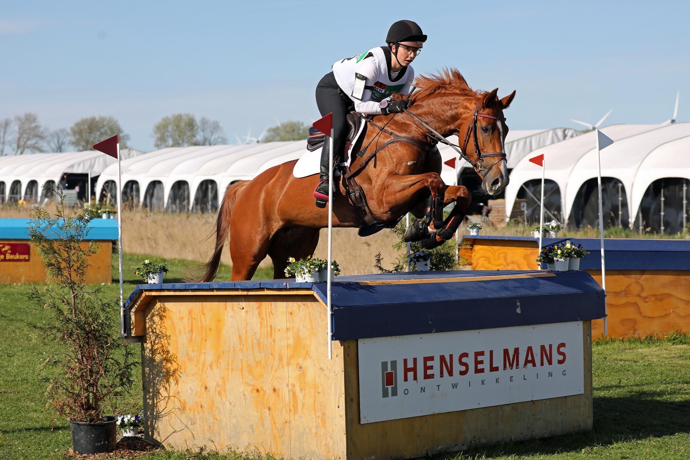 2* eventing horse