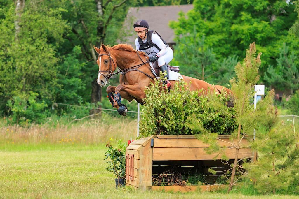 eventingpaard merrie for sale - Photo 4