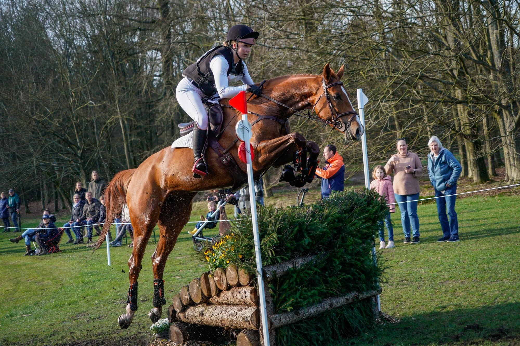 eventingpaard merrie for sale - Photo 3