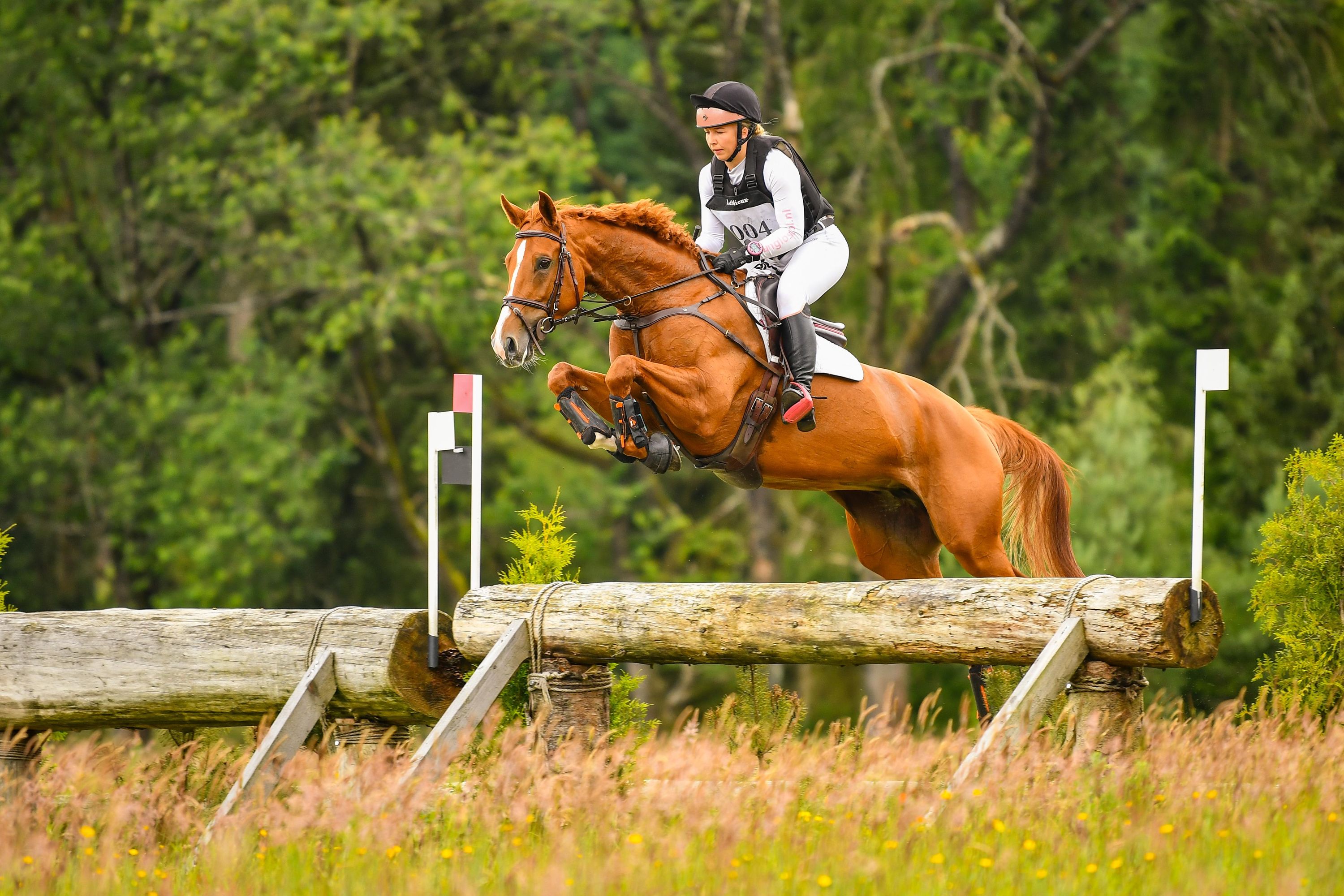 eventingpaard merrie for sale - Photo 2