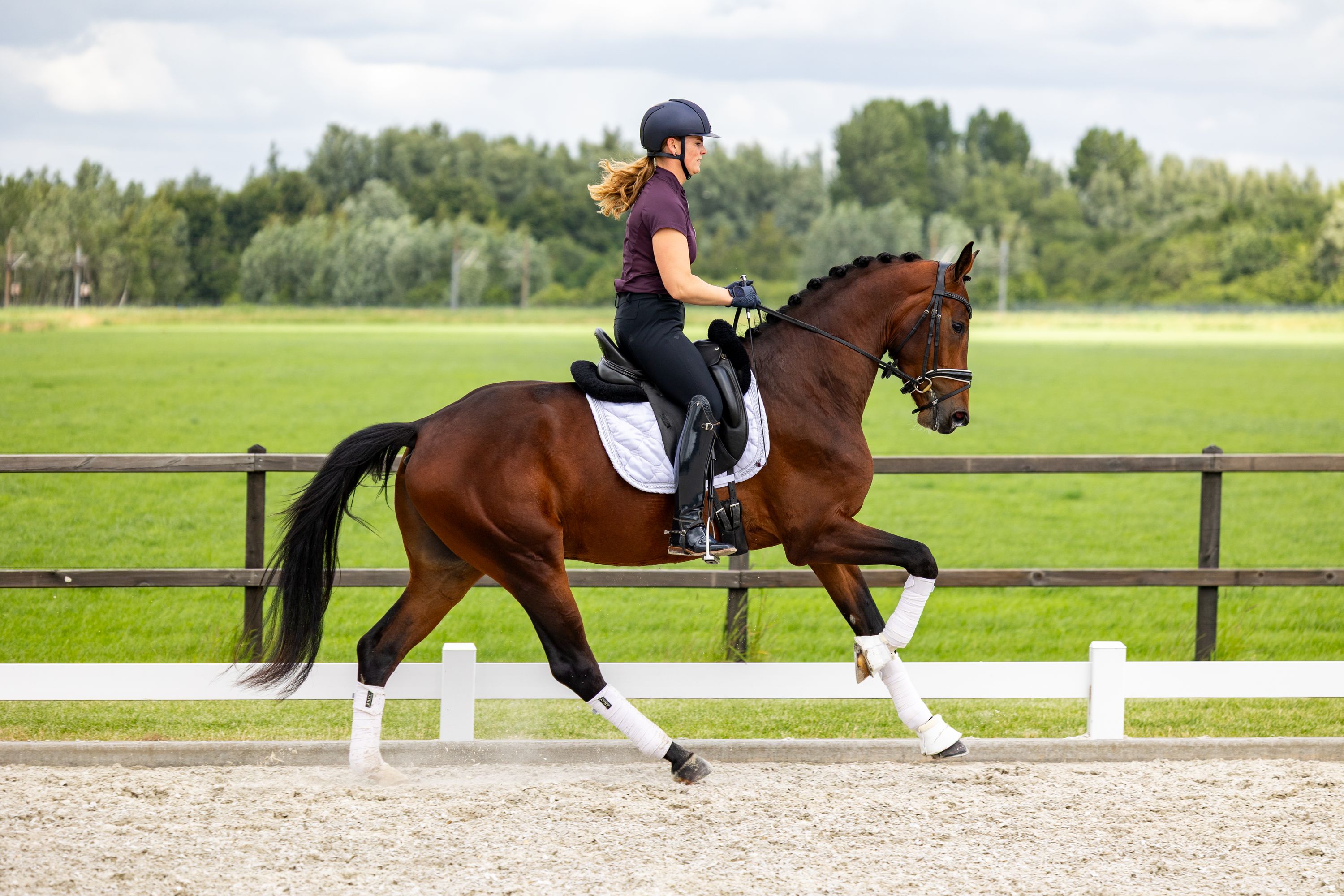kwpn dressuurpaard ruin 3 ans bruin à vendre - Photo 4