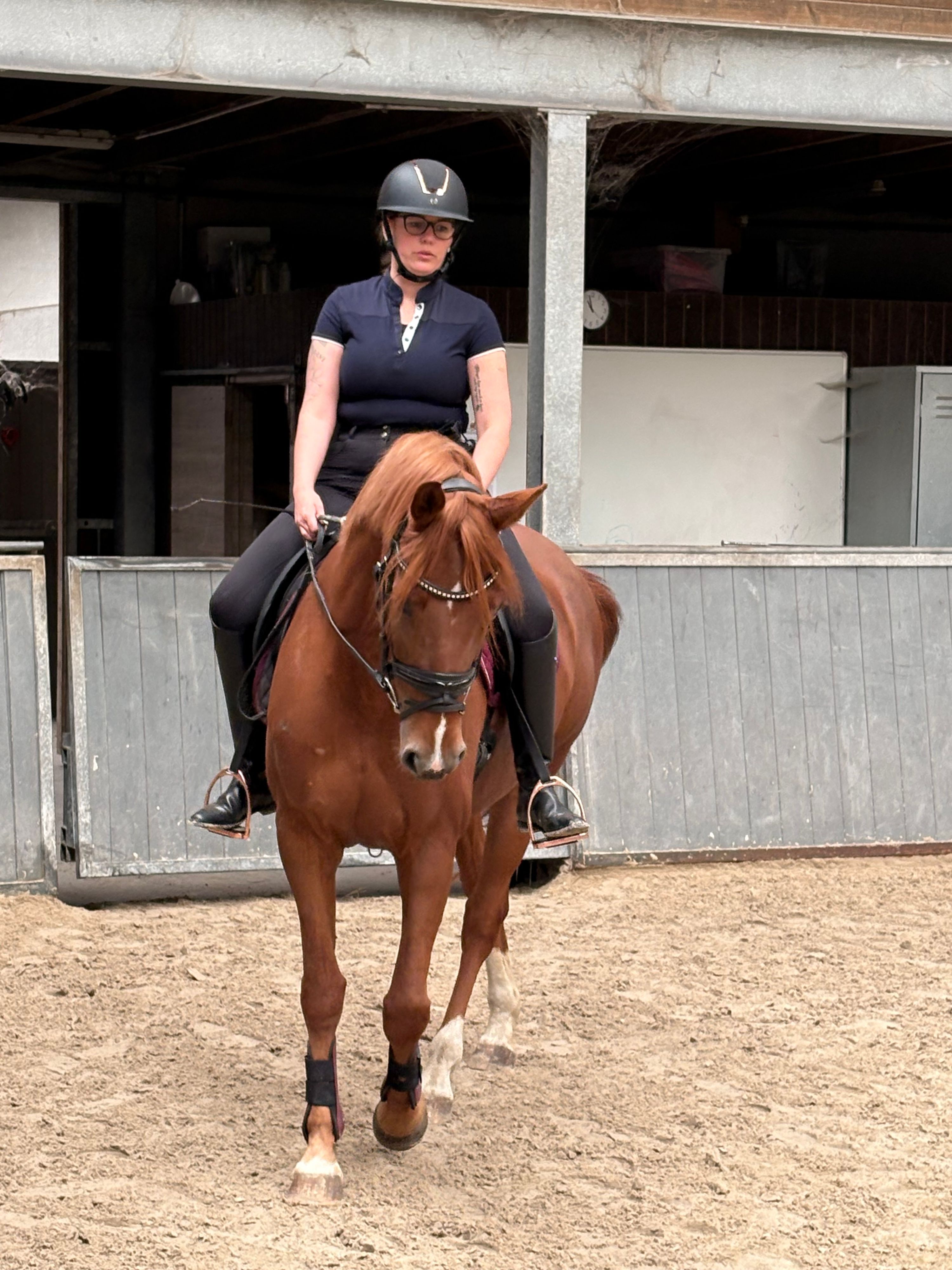 For sale: 9-year-old mare (1m67)
