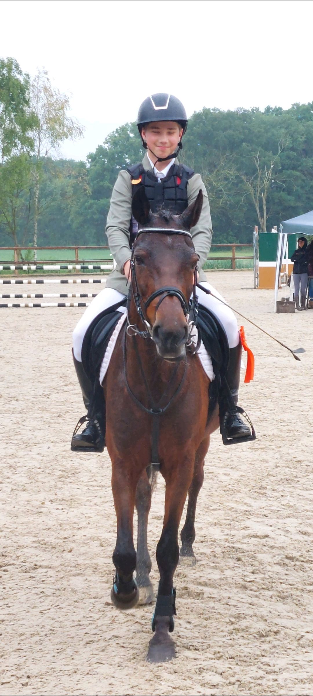 nrps allround-pony merrie 21 years old donkerbruin for sale - Photo 4