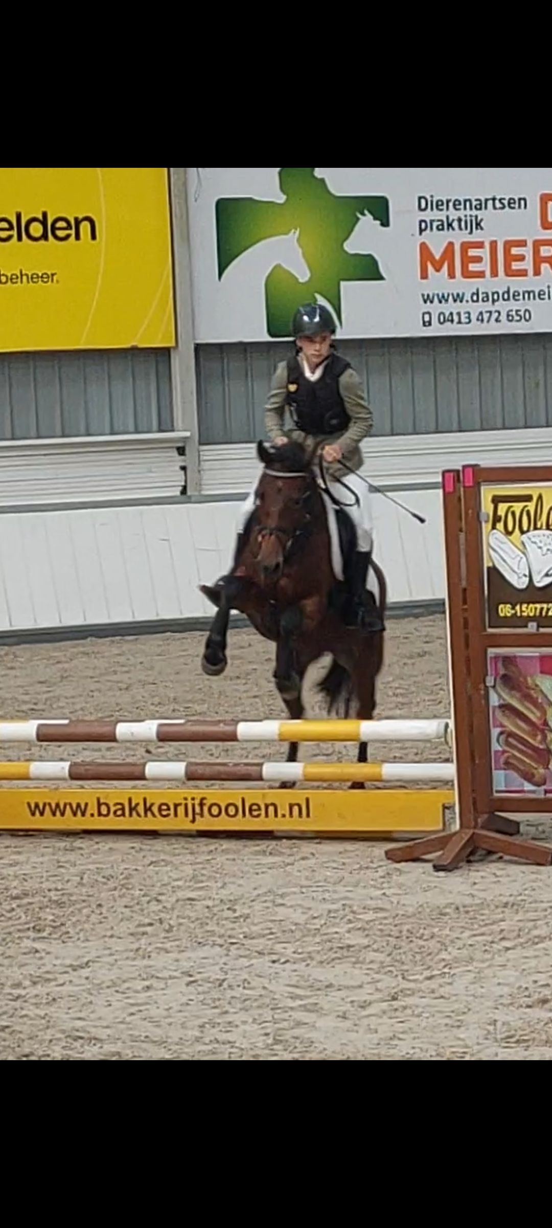 nrps allround-pony merrie 21 years old donkerbruin for sale - Photo 3