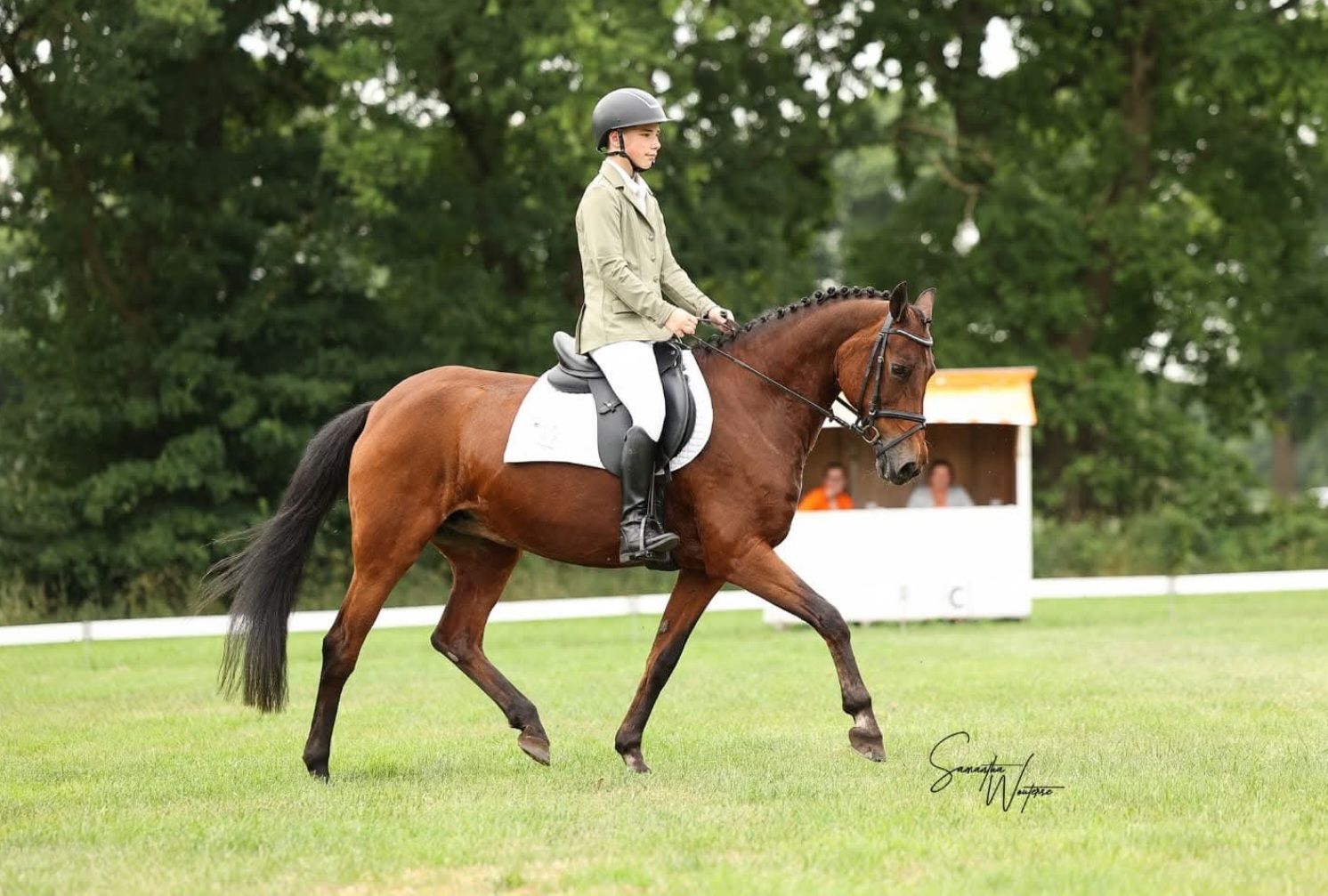 nrps allround-pony merrie 21 years old donkerbruin for sale - Photo 2