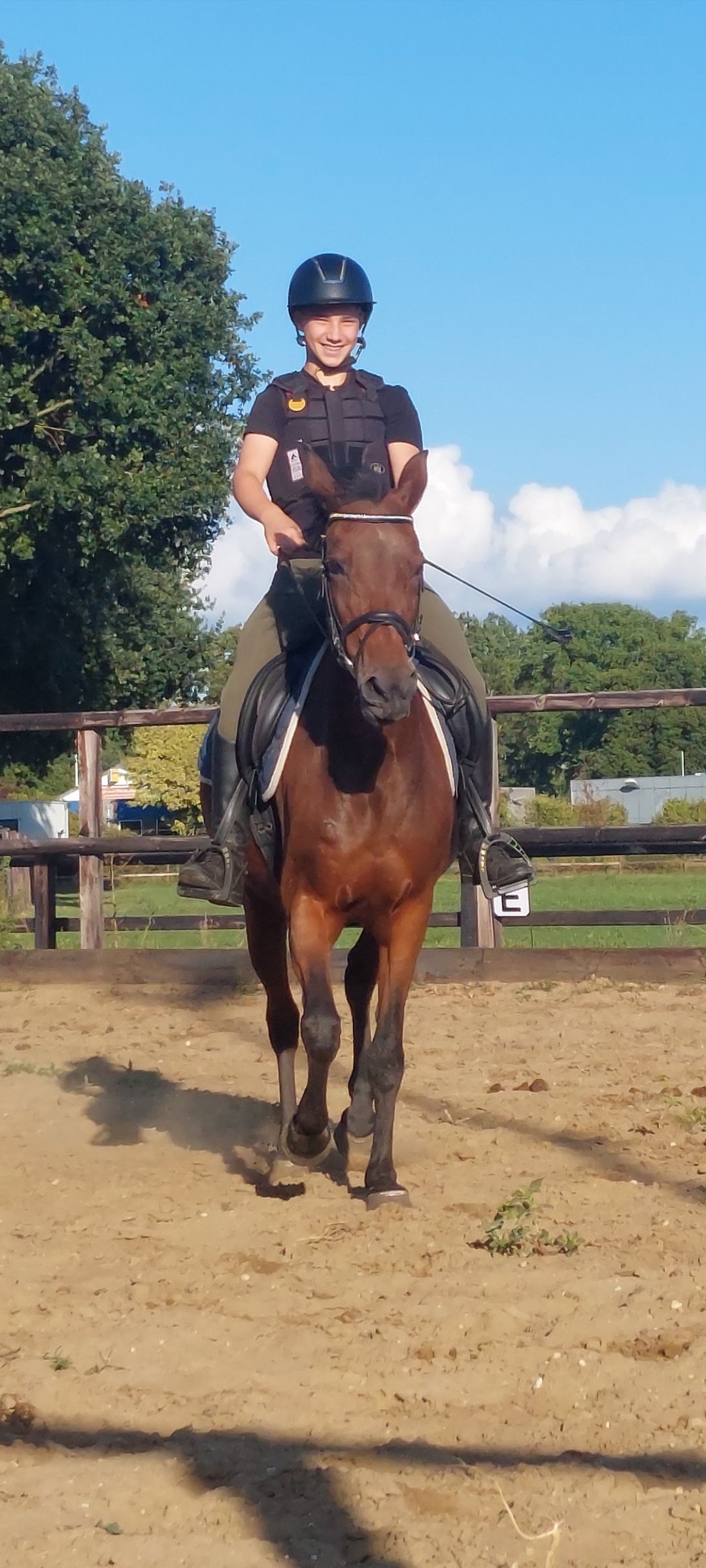 nrps allround-pony merrie 21 years old donkerbruin for sale - Photo 5