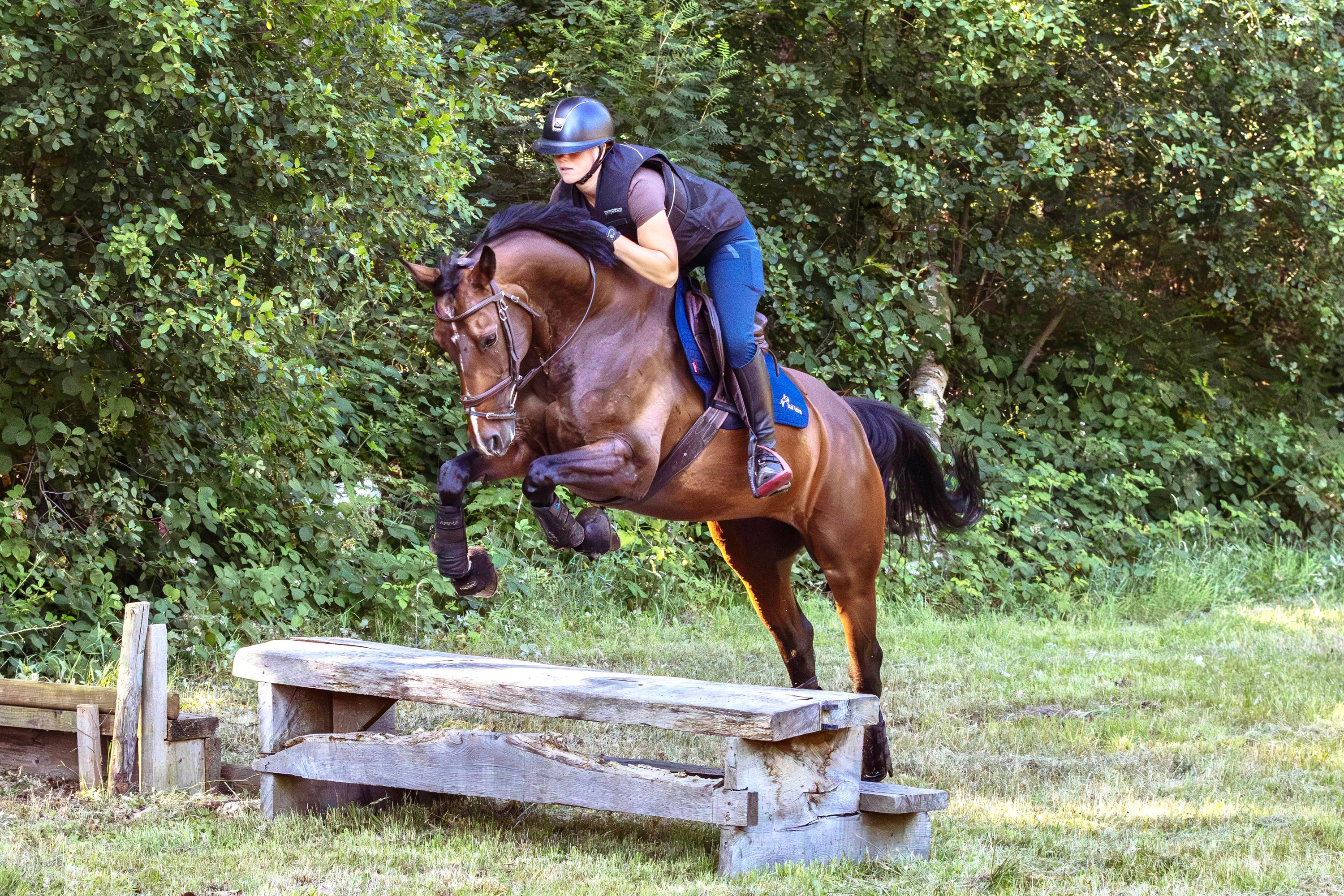 kwpn dressuurpaard merrie 11 anni bruin in vendita - Foto 4