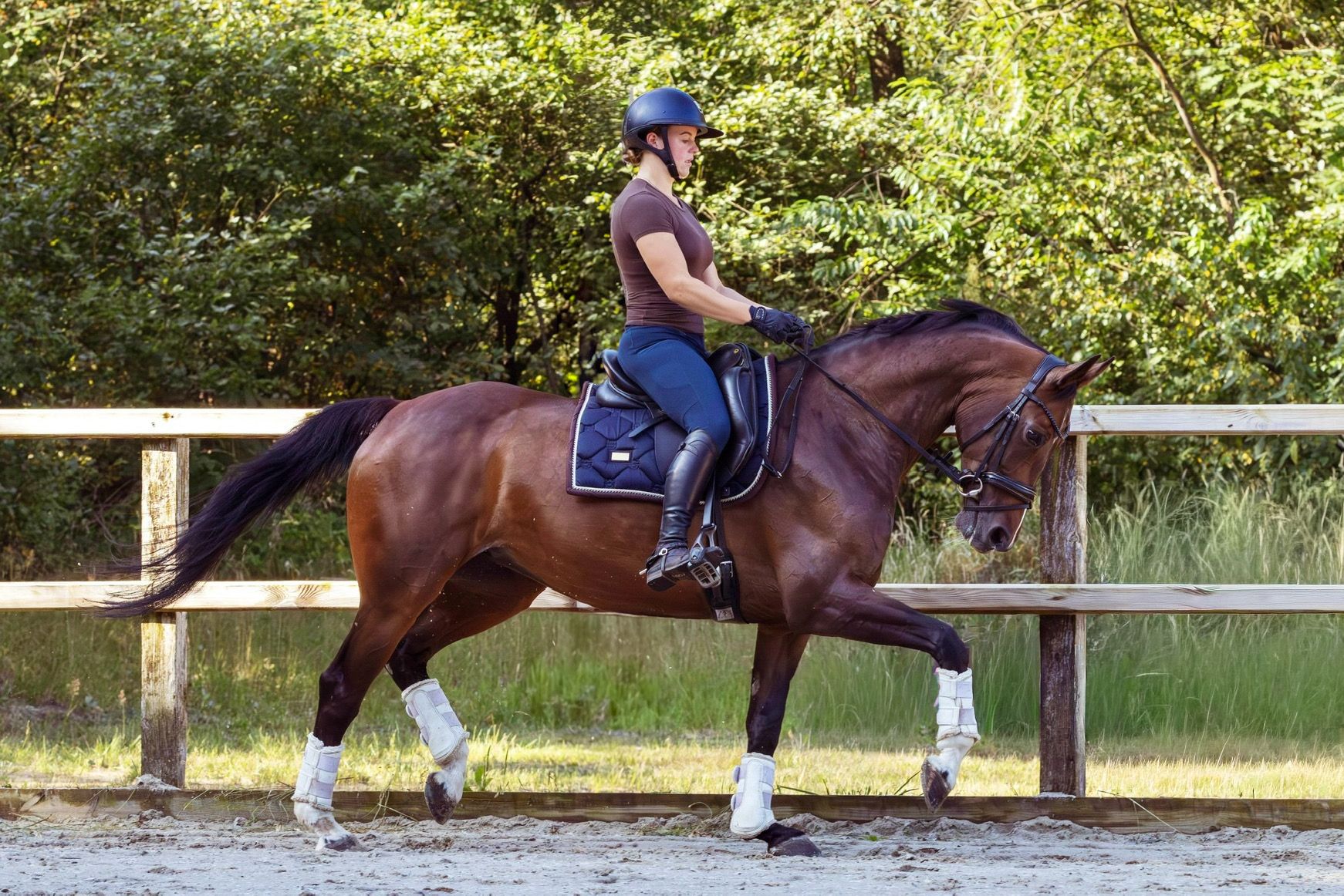 kwpn dressuurpaard merrie 11 anni bruin in vendita - Foto 2
