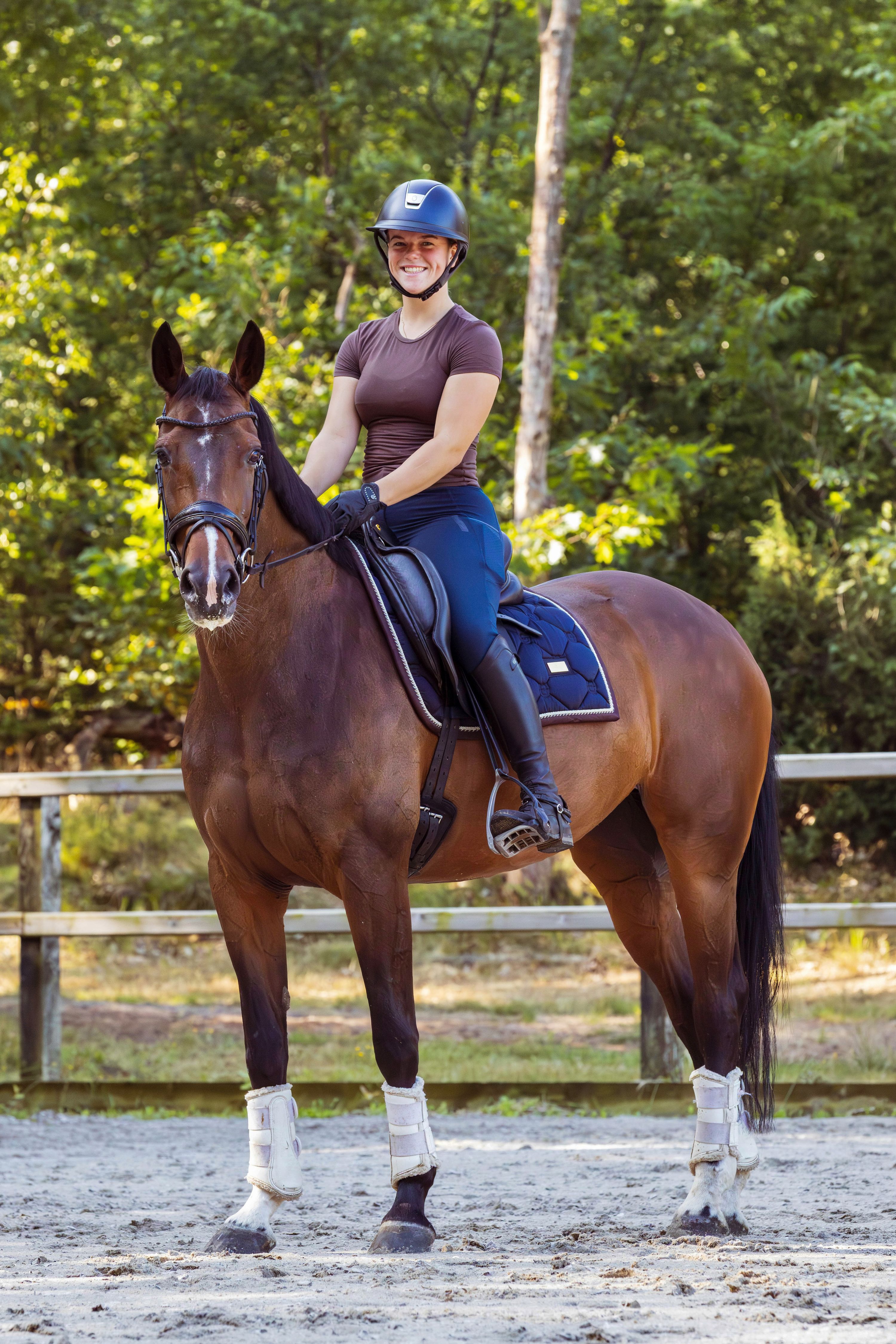 kwpn dressuurpaard merrie 11 anni bruin in vendita - Foto 3