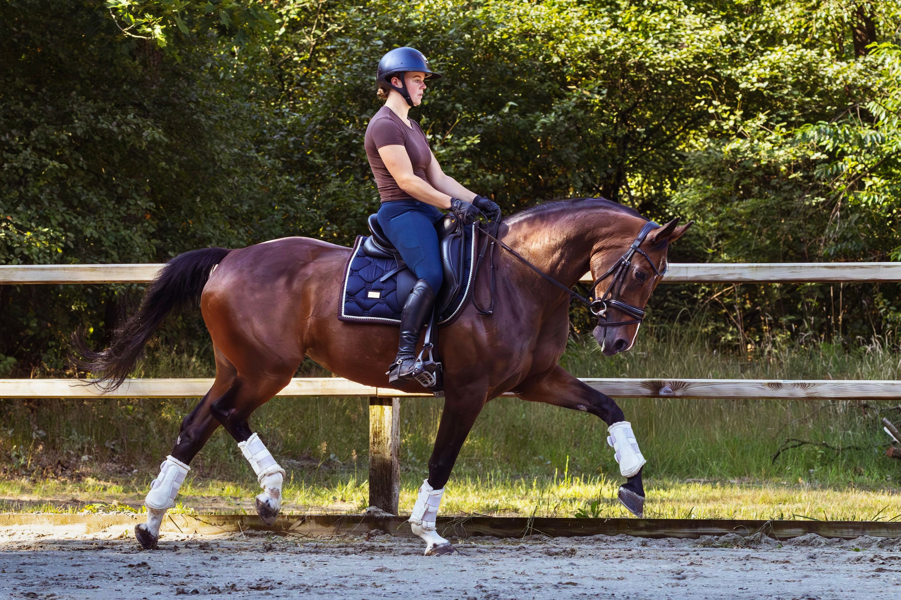 kwpn dressuurpaard merrie 11 anni bruin in vendita - Foto 6