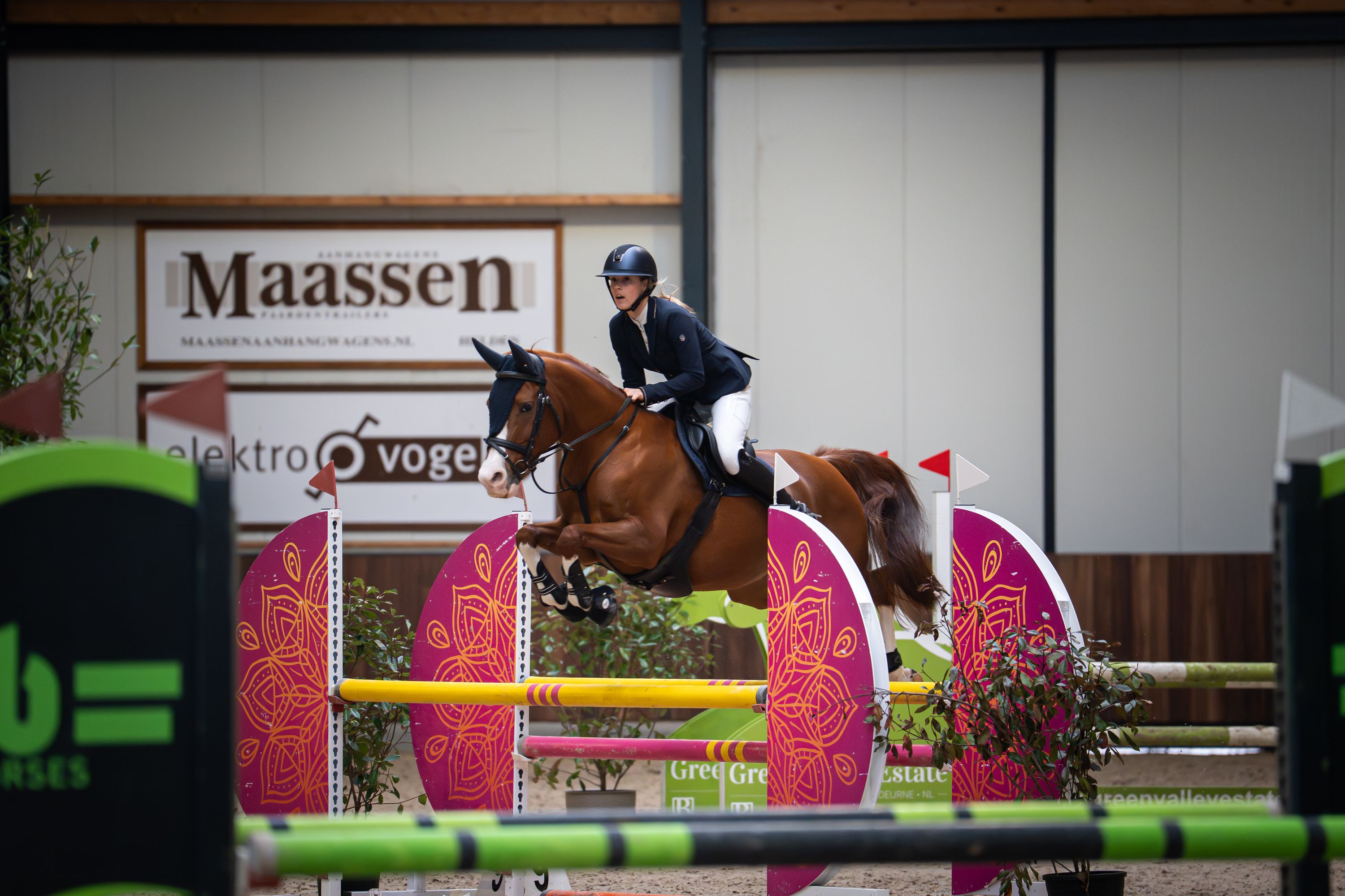Poney D expérimenté avec d'énormes moyens