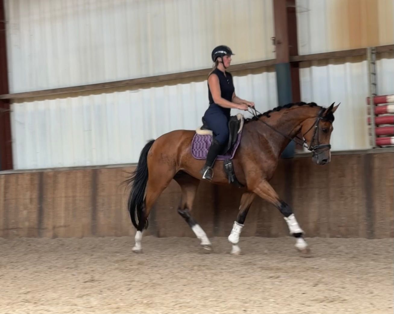 kwpn dressuurpaard merrie 6 years old bruin for sale - Photo 6