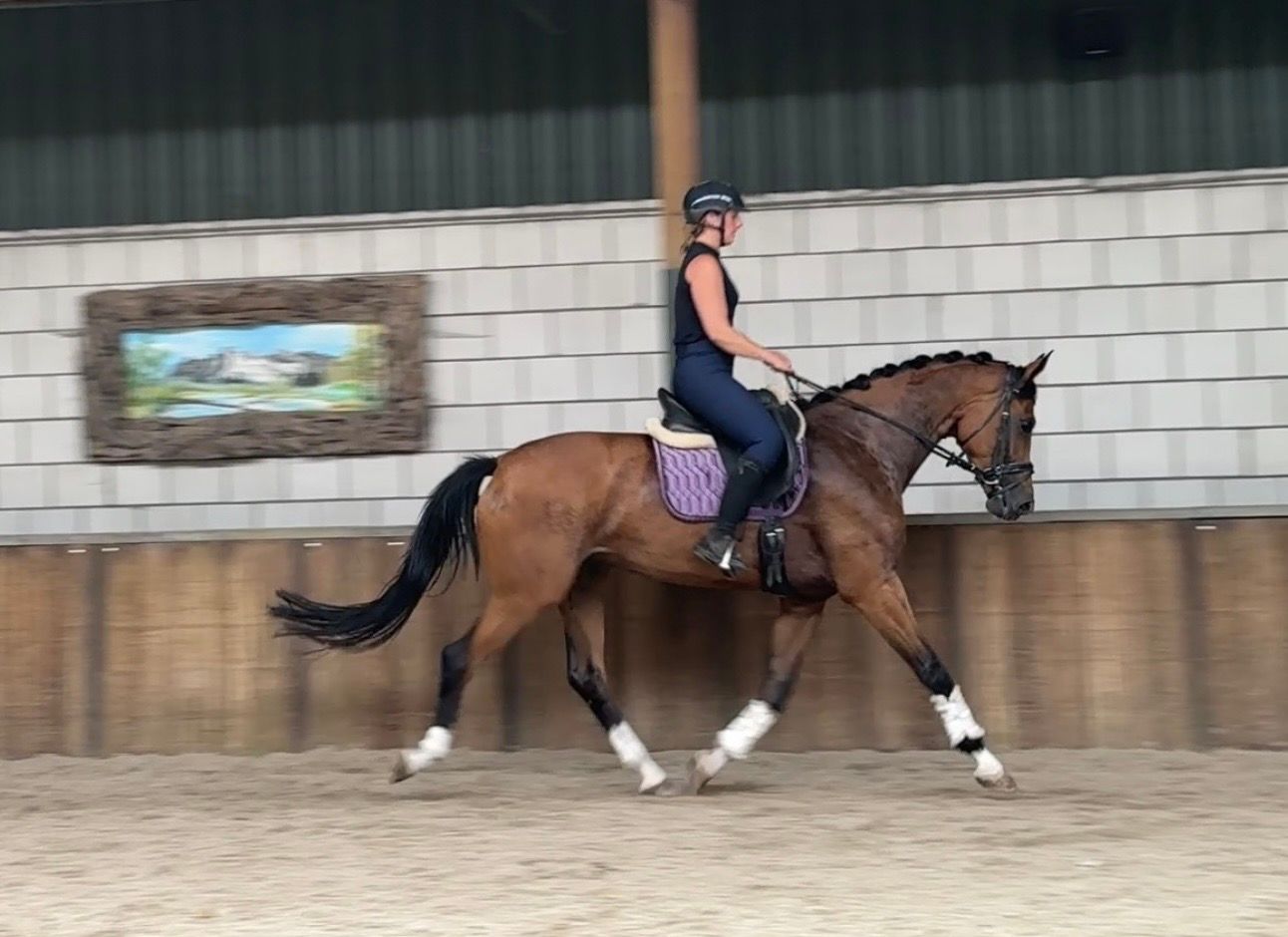 kwpn dressuurpaard merrie 6 years old bruin for sale - Photo 5