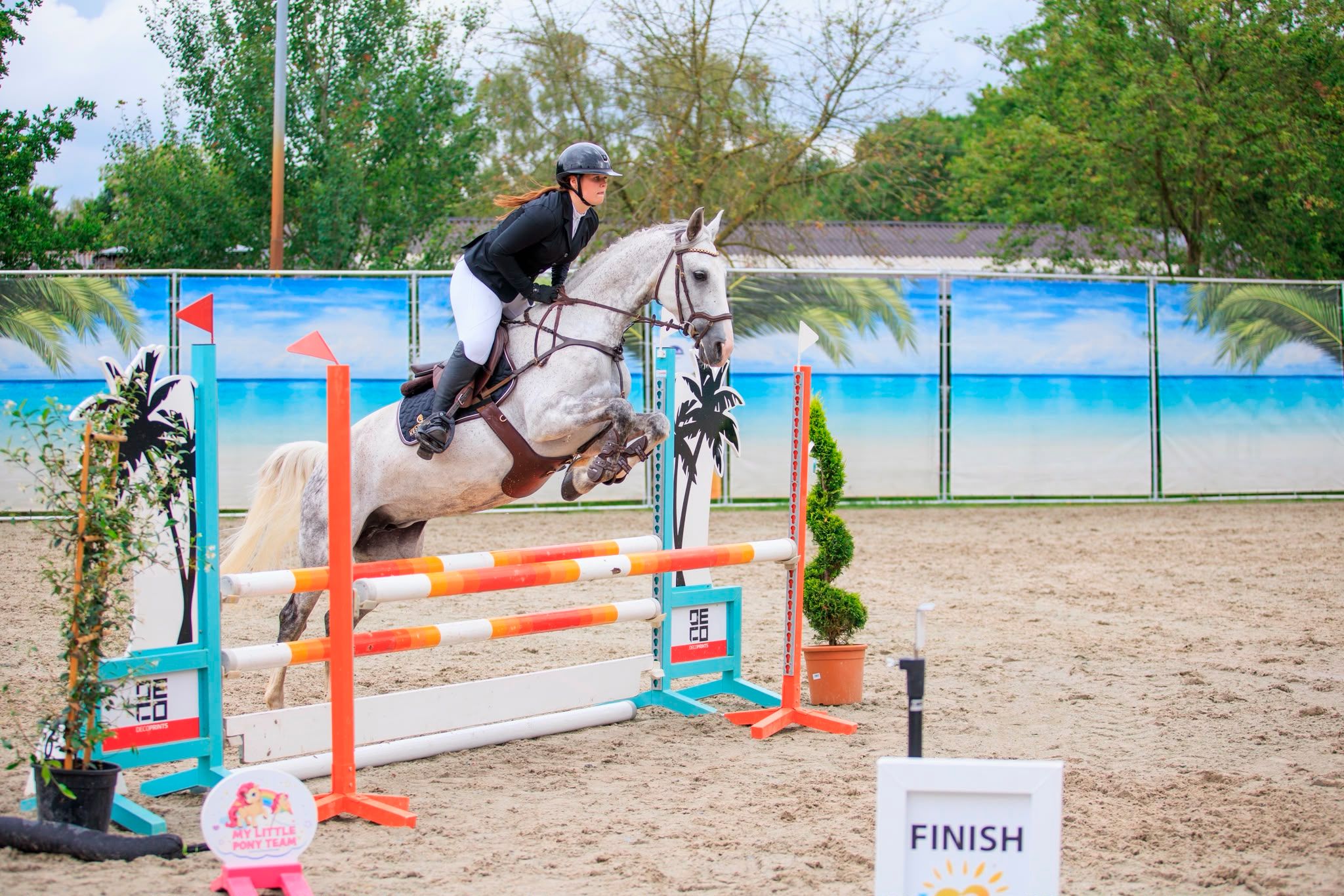 9 Year Old Showjumper