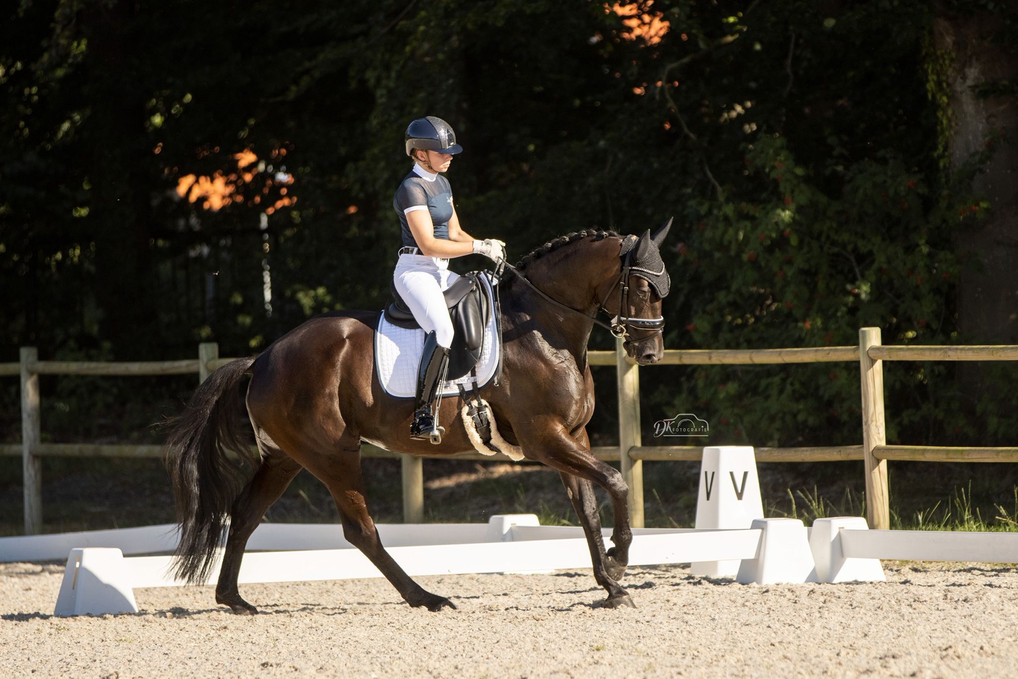 dressuurpaard merrie 10 år zwart till salu - Foto 2