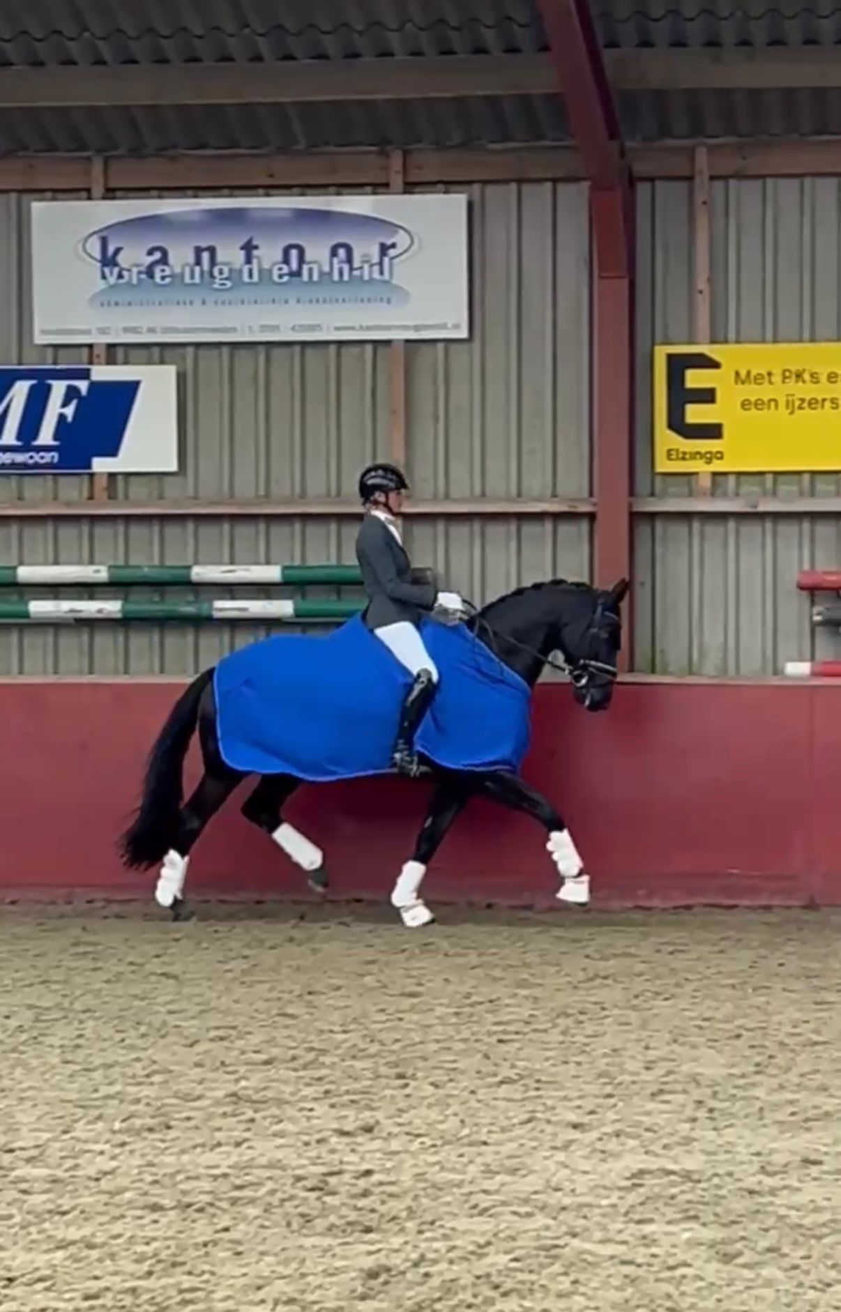 dressuurpaard merrie 10 år zwart till salu - Foto 5