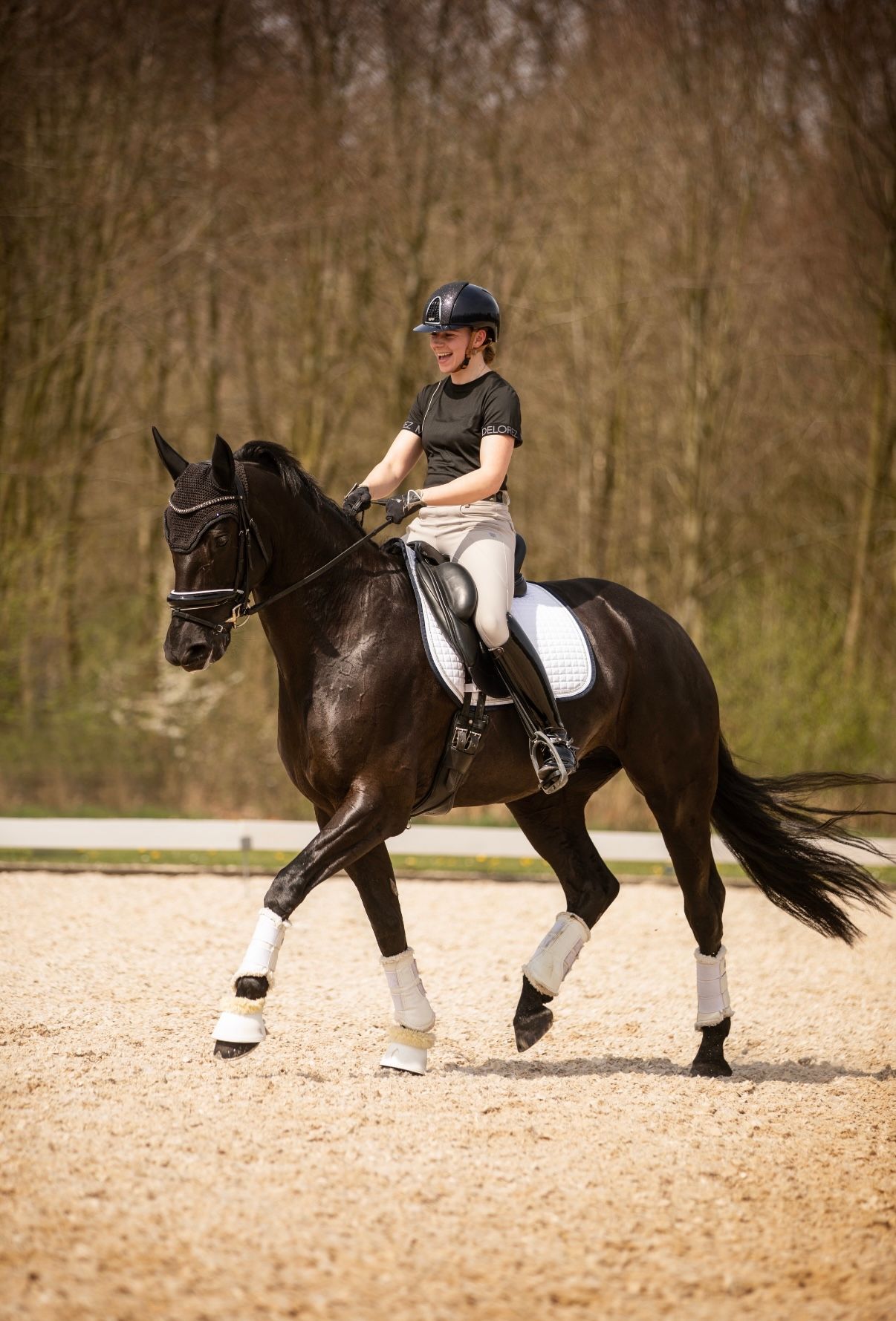 dressuurpaard merrie 10 år zwart till salu - Huvudfoto