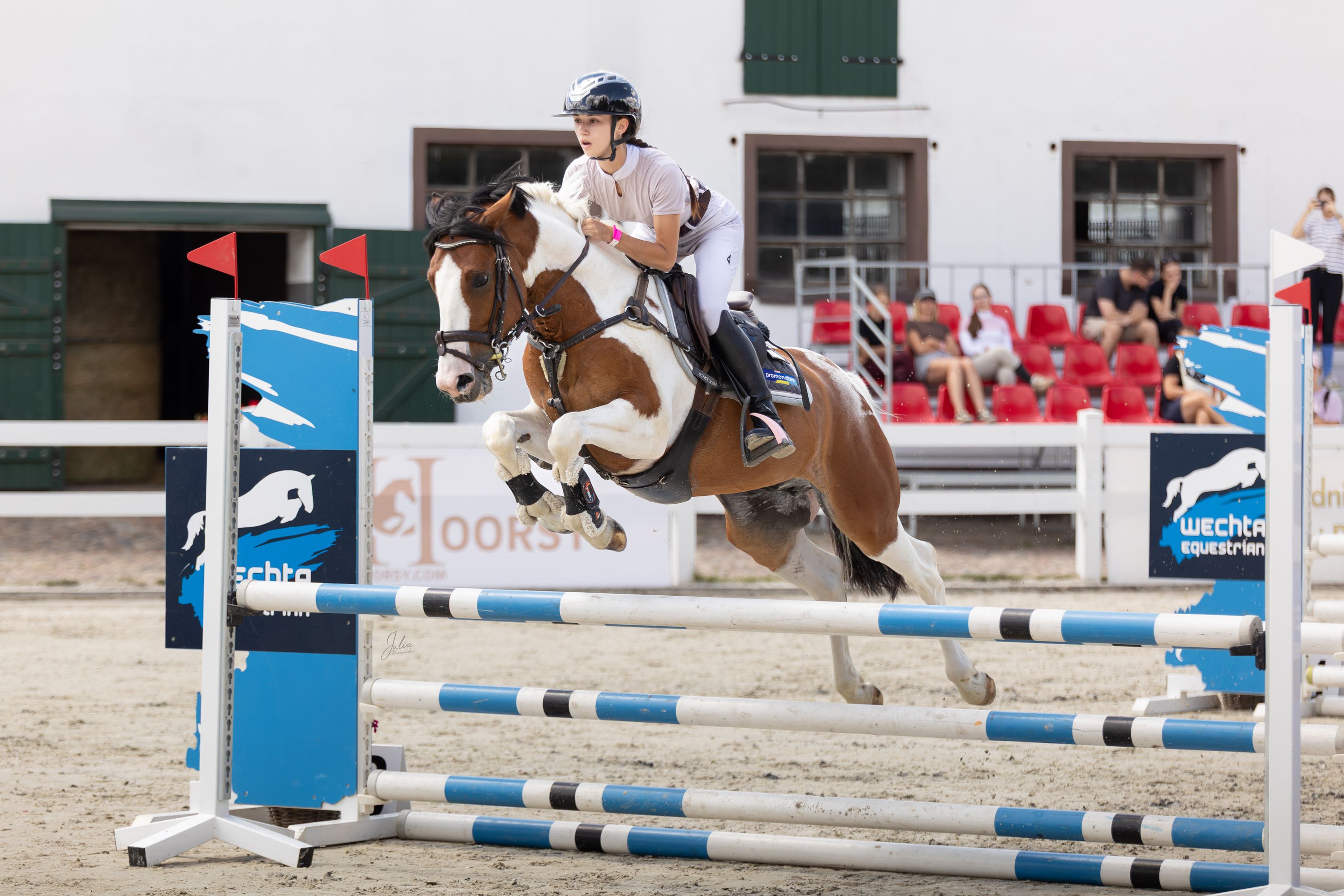 duitse-rijpony springpony ruin 5 lat andere-kleur na sprzedaż - Zdjęcie 2