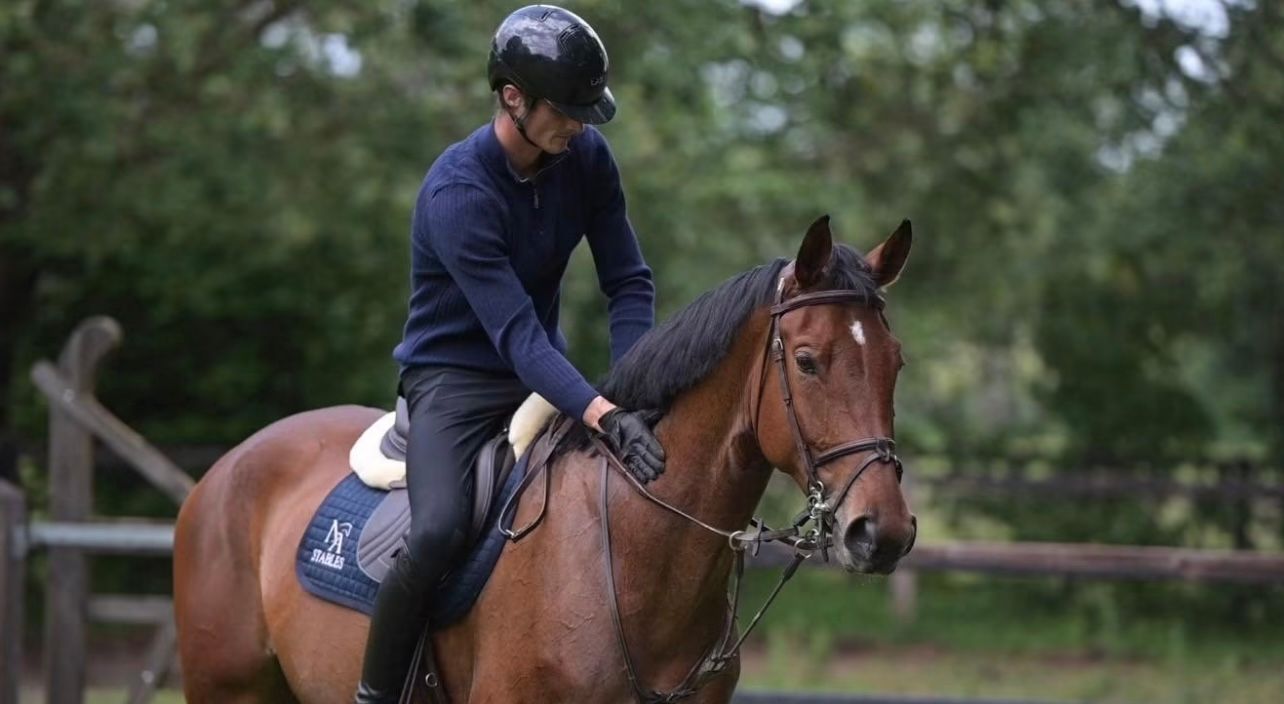 baden-wurttemberg allrounder merrie 6 jaar donkerbruin te koop - Foto 2