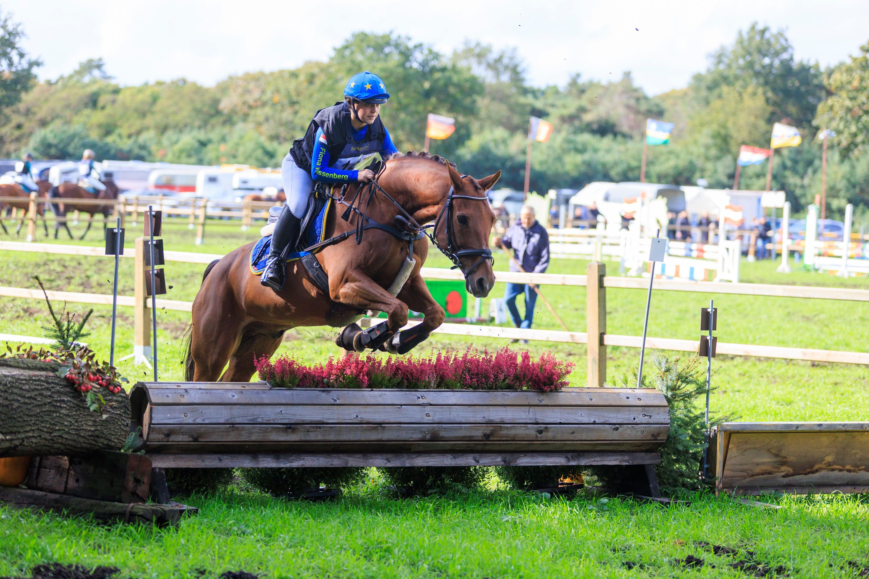 kwpn eventingpaard ruin 13 岁 vos 出售 - 照片 6