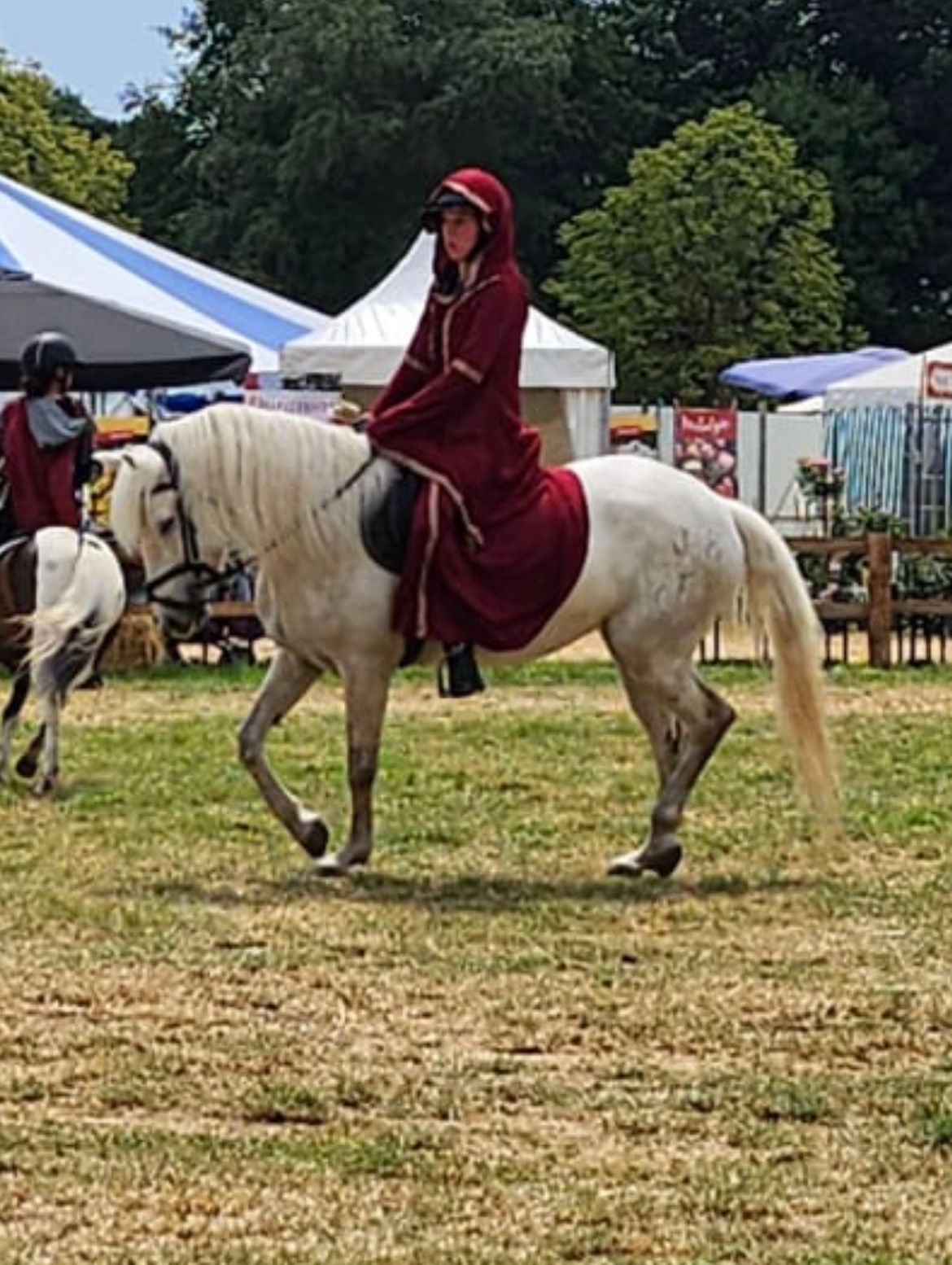 allround-pony merrie 7 years old schimmel for sale - Photo 4