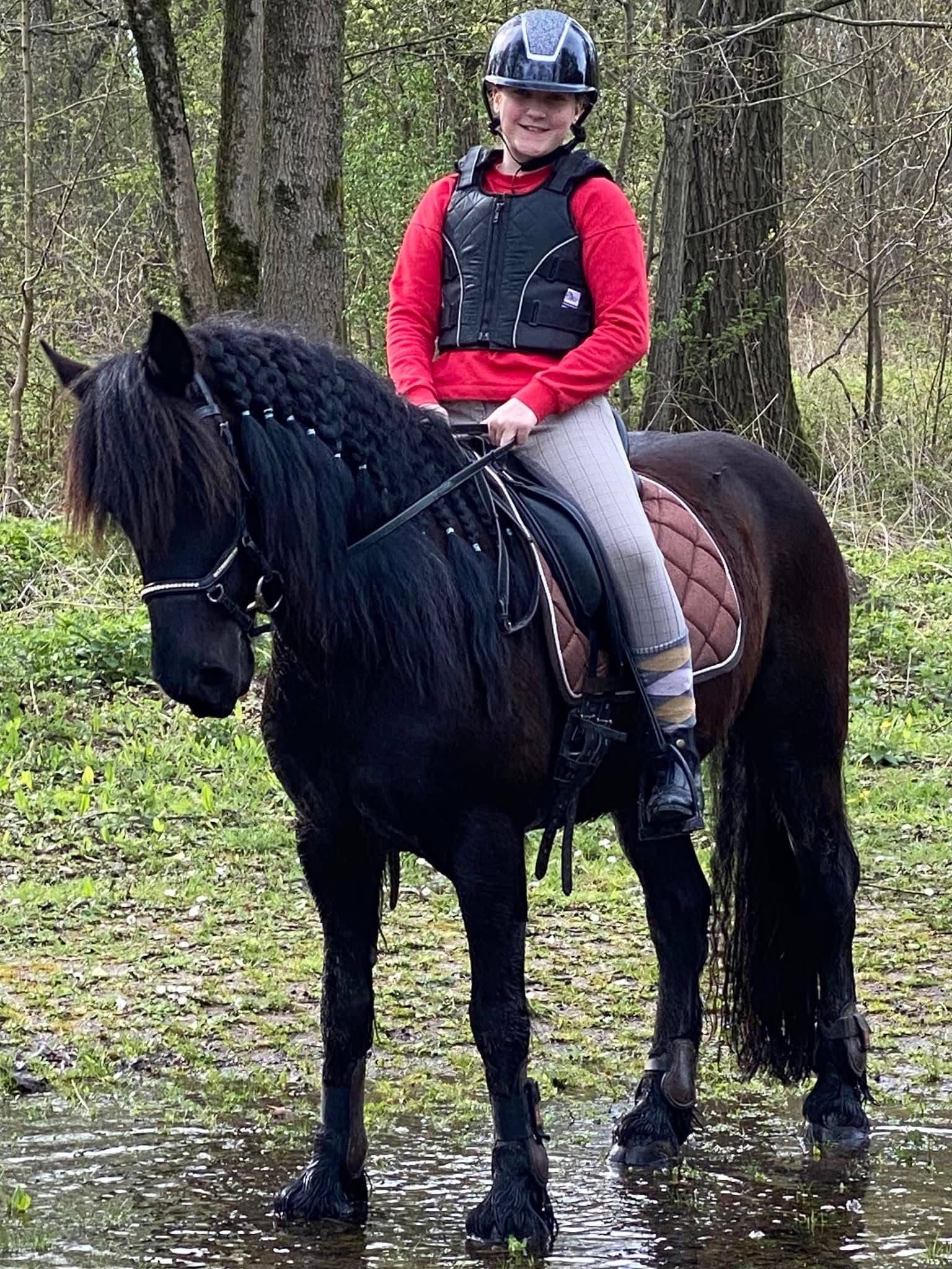 sweet all-round pony