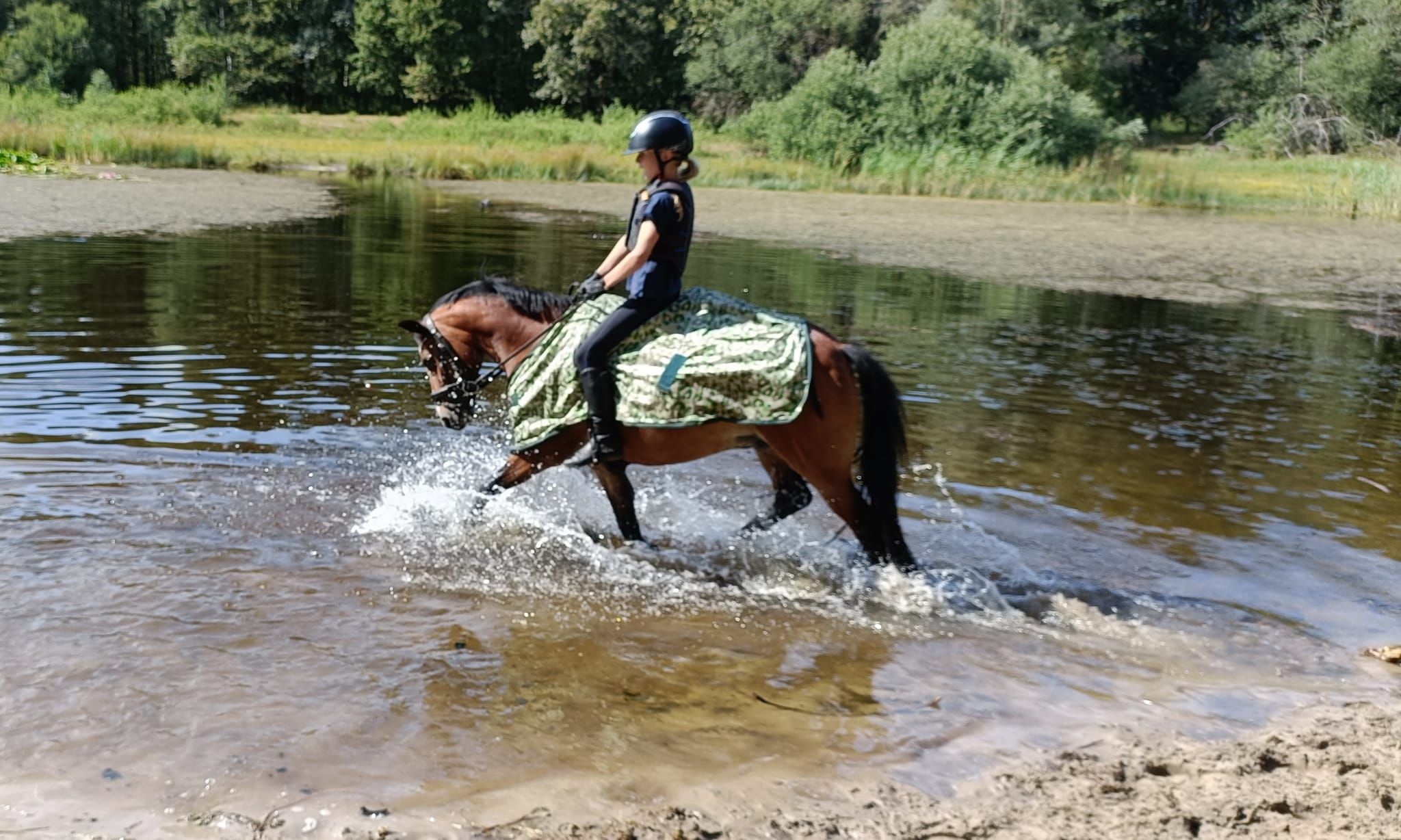 allround-pony ruin 18 years old bruin for sale - Photo 5