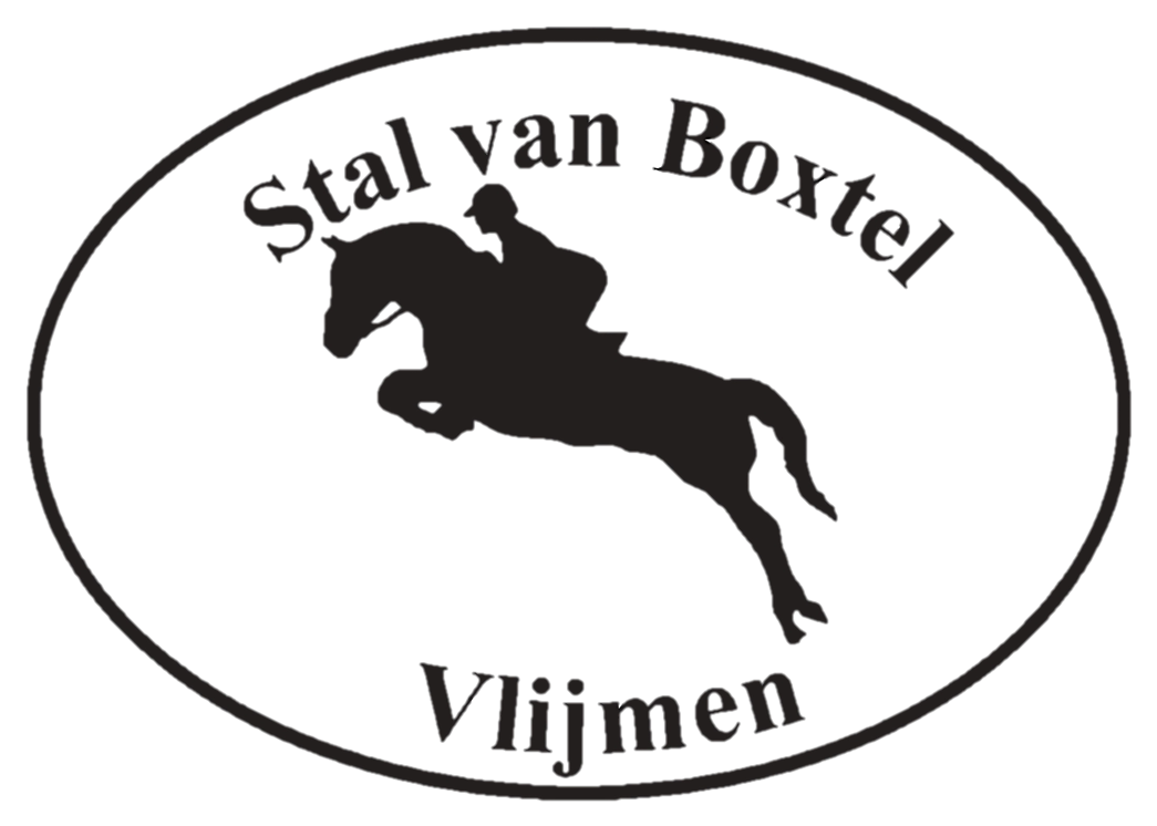 New forest pony’s
