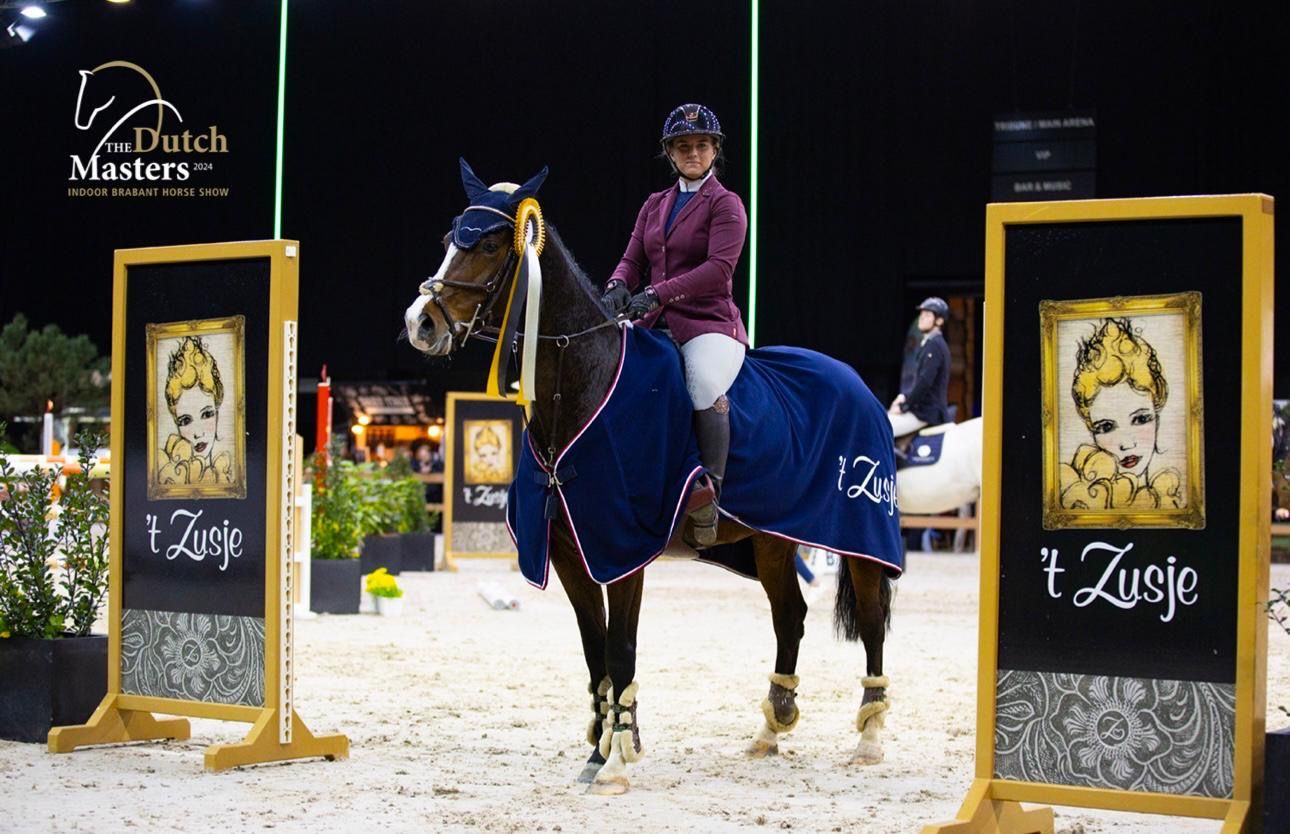 kwpn springpaard merrie 11 years old bruin for sale - Photo 6