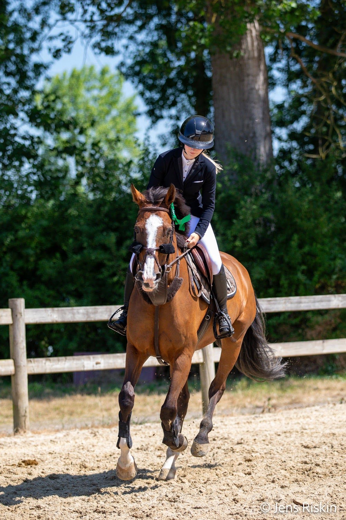 sbs springpaard merrie 11 jaar bruin te koop - Foto 5